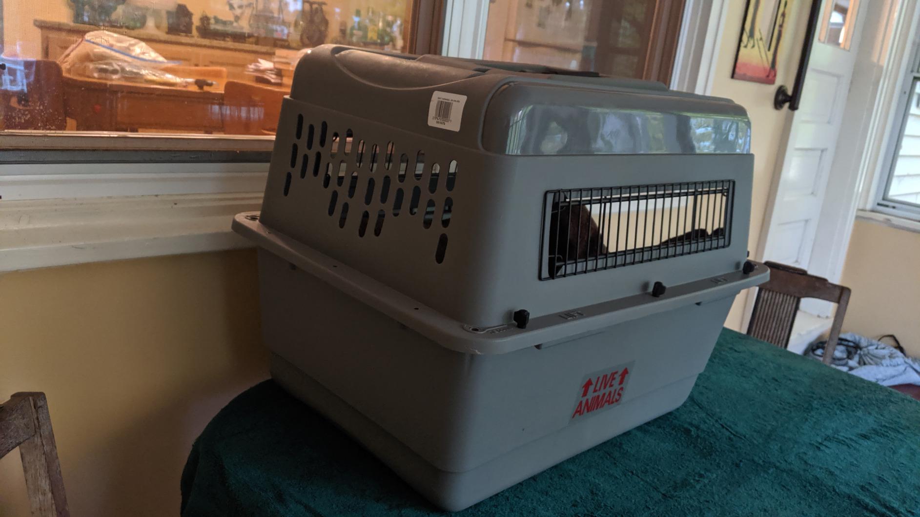 Petmate Sky Kennel, for Air Travel, 36in Dog Crate for Pets 50 to 70lbs customer photo 1