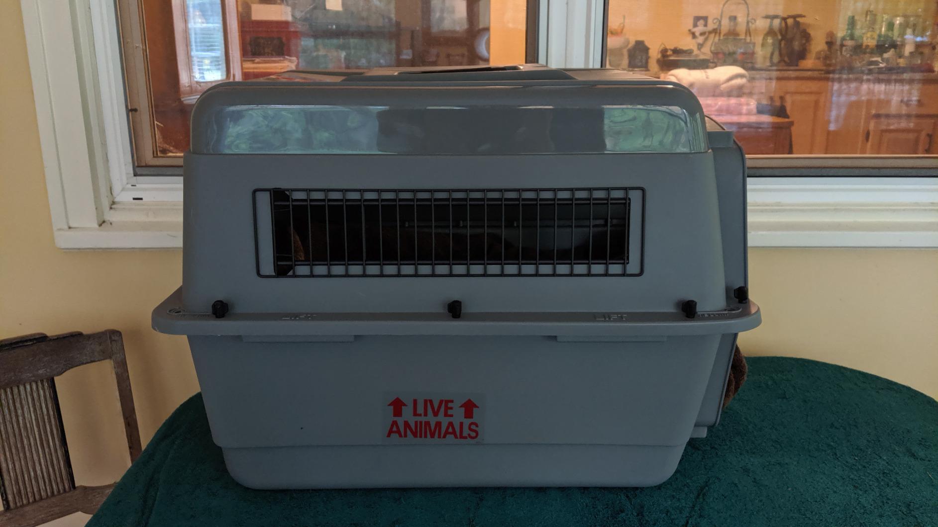 Petmate Sky Kennel, for Air Travel, 36in Dog Crate for Pets 50 to 70lbs customer photo 2