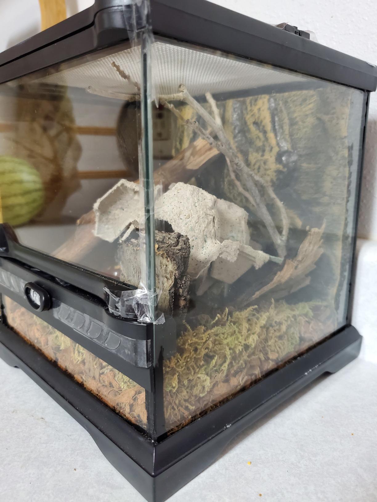 Exo Terra Glass Nano Terrarium Kit, 8 x 8 x 12 Inches customer photo 1