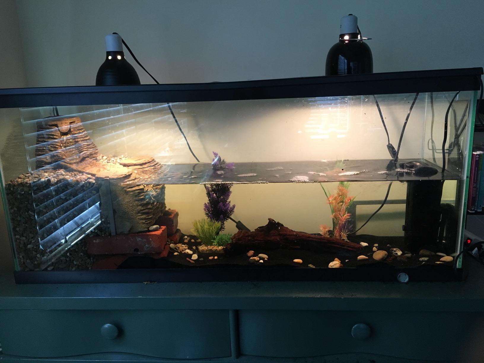 TetraFauna Viqaquarium, Terrarium & Aquarium Environment customer photo 1