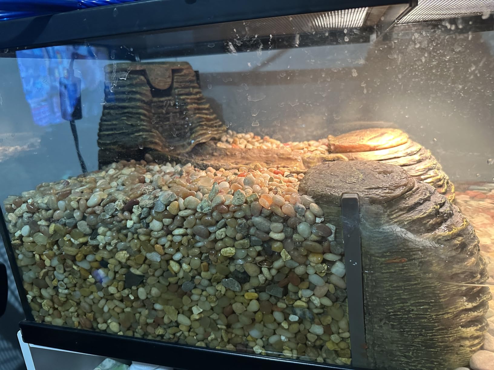 TetraFauna Viqaquarium, Terrarium & Aquarium Environment customer photo 2