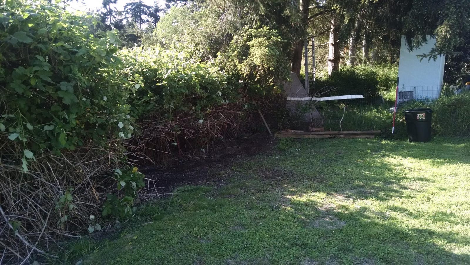 TrimmerPlus BC720 Brushcutter with J-Handle for Attachment Capable String Trimmers, Polesaws, and Powerheads, 8, Fatigue customer photo 1