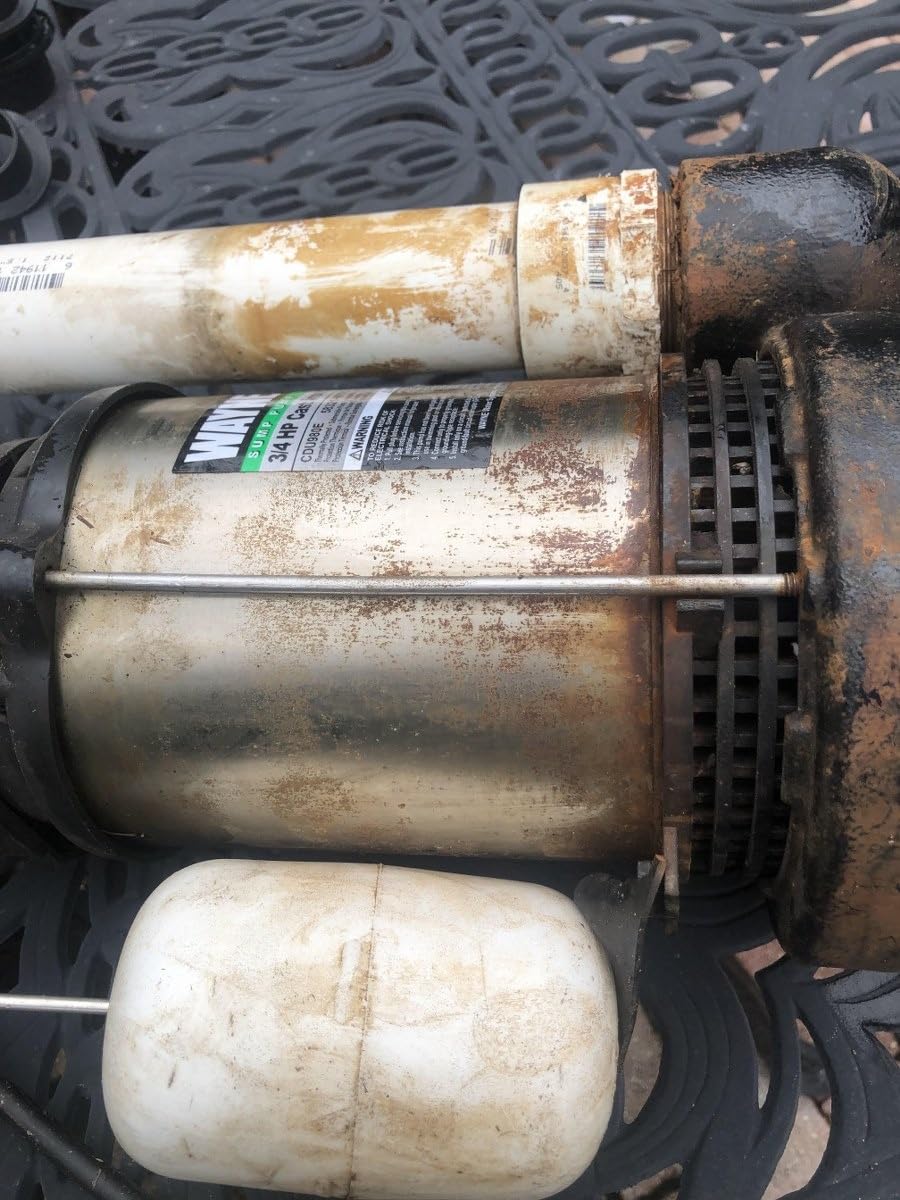 WAYNE CDU980E 3/4 HP Submersible Sump Pump – Cast Iron & Stainless Steel, Vertical Float Switch, 5,490 GPH, 5-Year Warranty customer photo 1