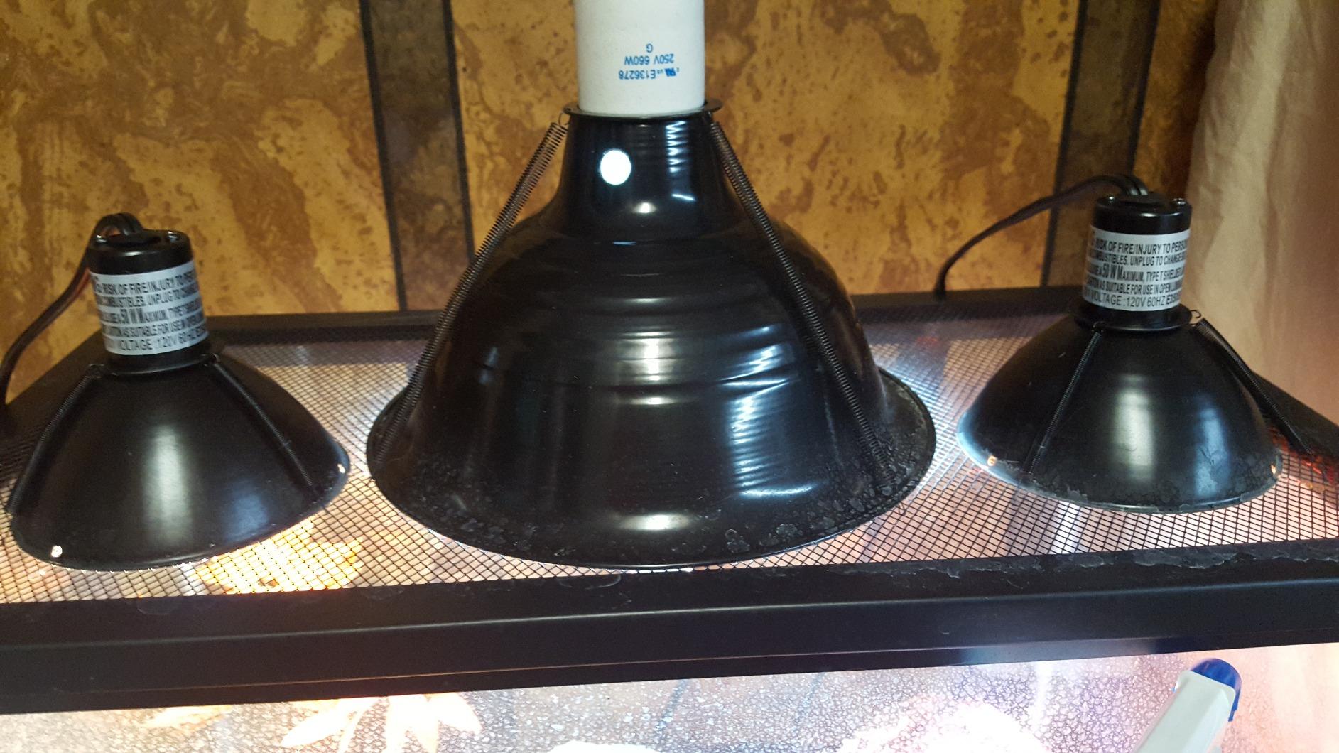 Zilla Premium Reflector Dome Reptile Heat Lamp Fixture, 8.5 Inches customer photo 2
