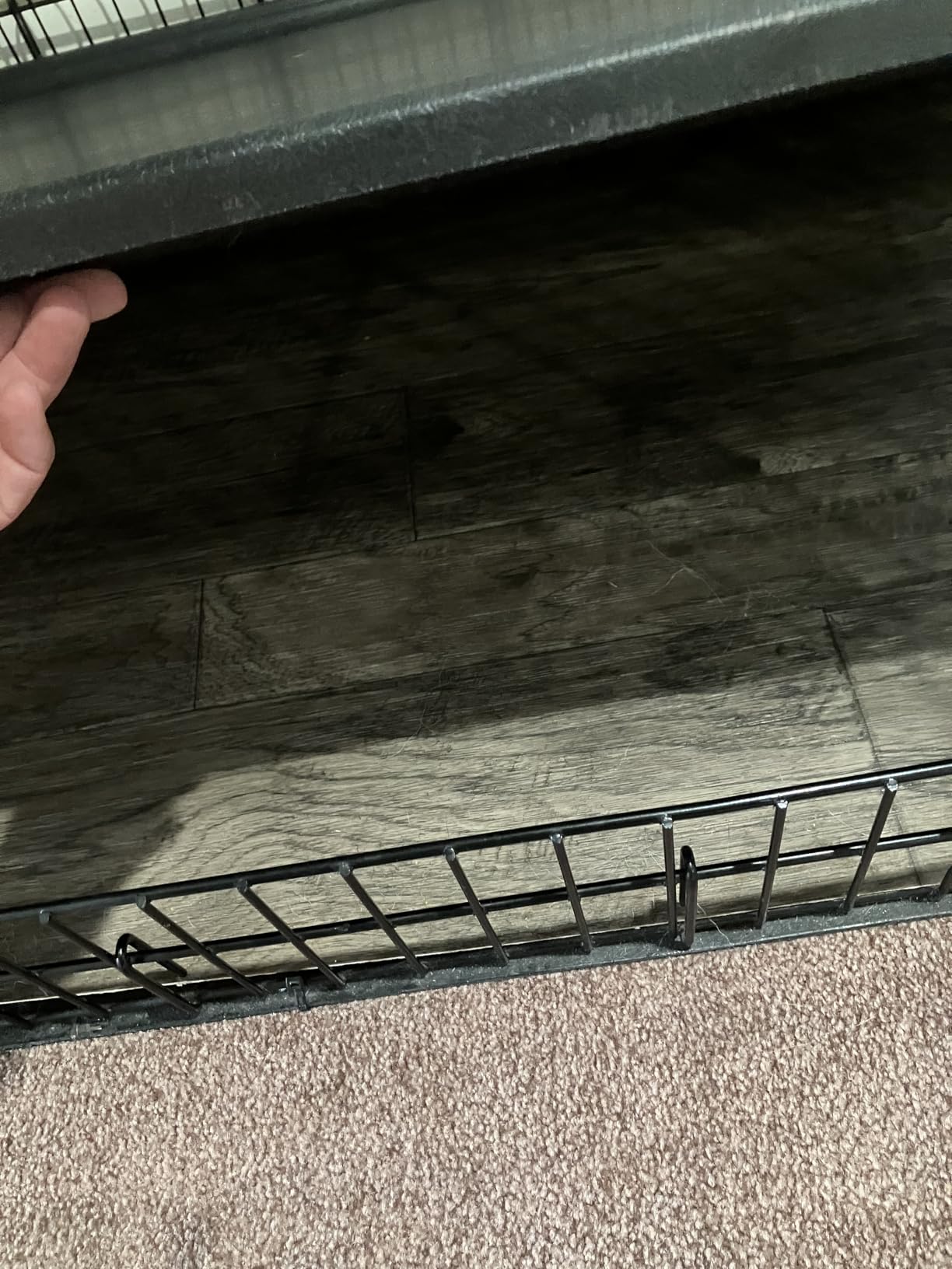 Solutions by Midwest 54-Inch Double Door Crate, Giant Breed Dogs, 100+ lbs customer photo 2