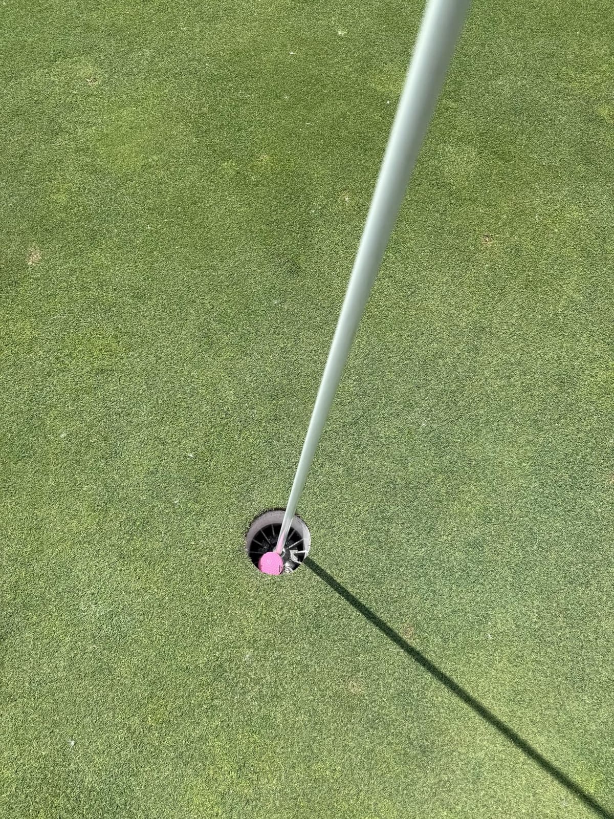 Nitro Maximum Distance Golf Ball (12-Pack) customer photo 1