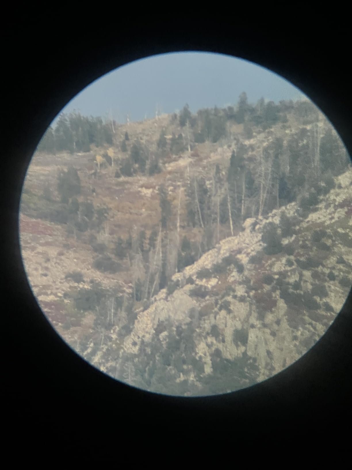 Vortex Optics Diamondback Spotting Scopes customer photo 1