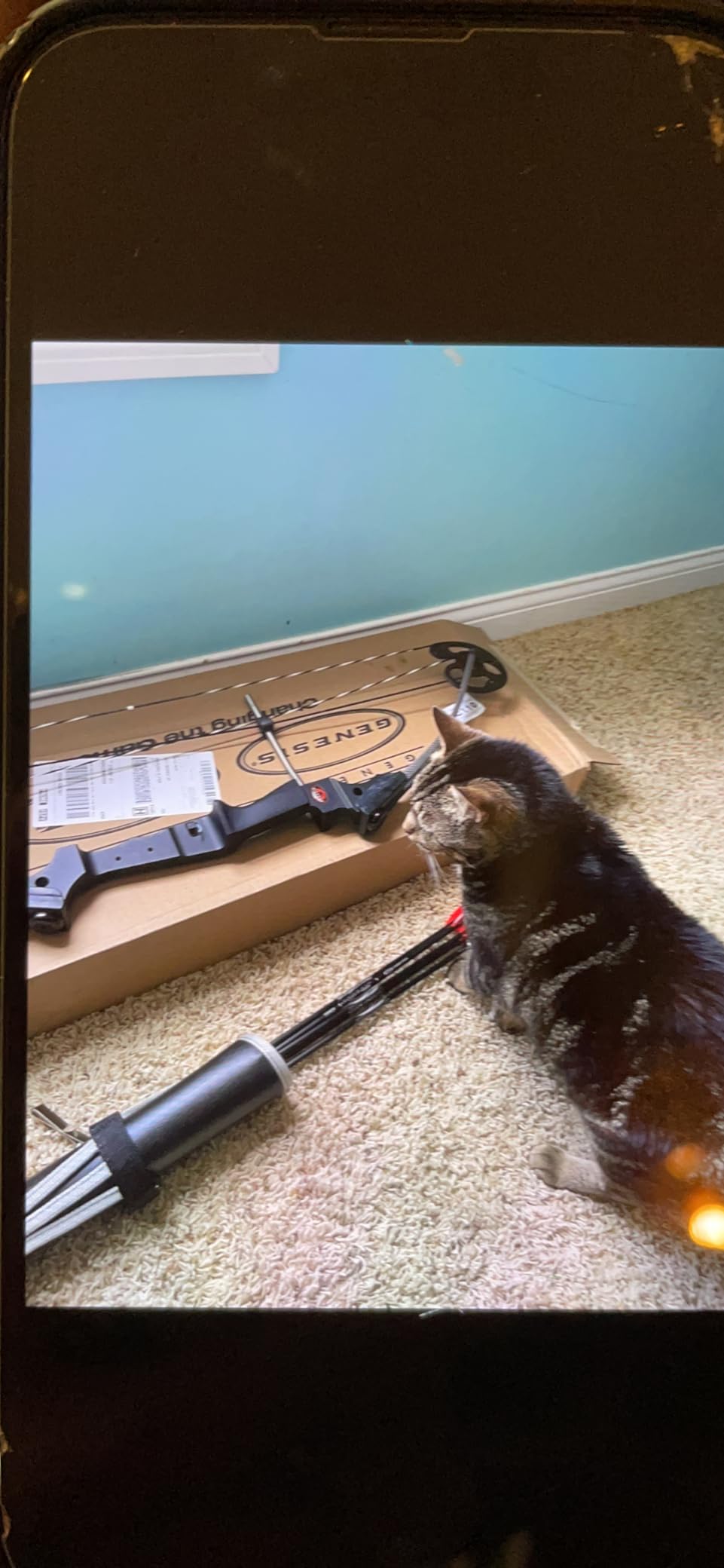 GENESIS Original Archery Compound Bow and Arrow Set, Draw customer photo 1