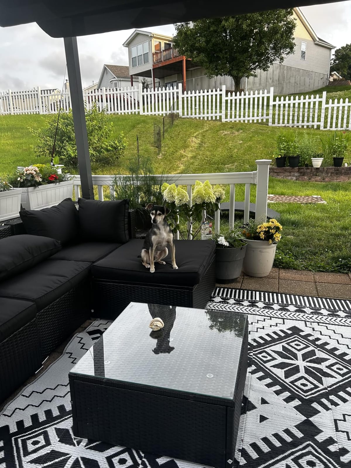 Dog Playpen - Foldable Metal Exercise Puppy Play Pen with 8 24x30in Panels - Indoor/Outdoor Pen with Door for Dogs, Cats or Small Animals by PETMAKER customer photo 1