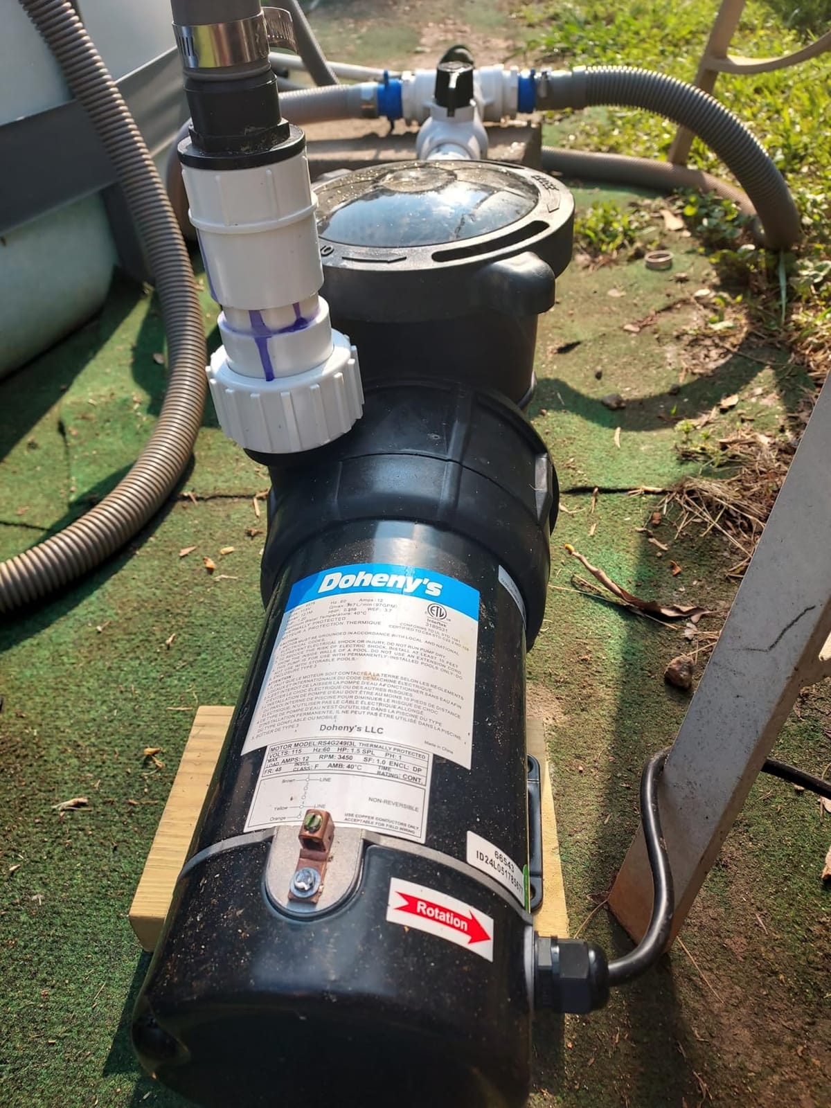 Doheny's 1.5 HP Above Ground Swimming Pool Pump customer photo 1