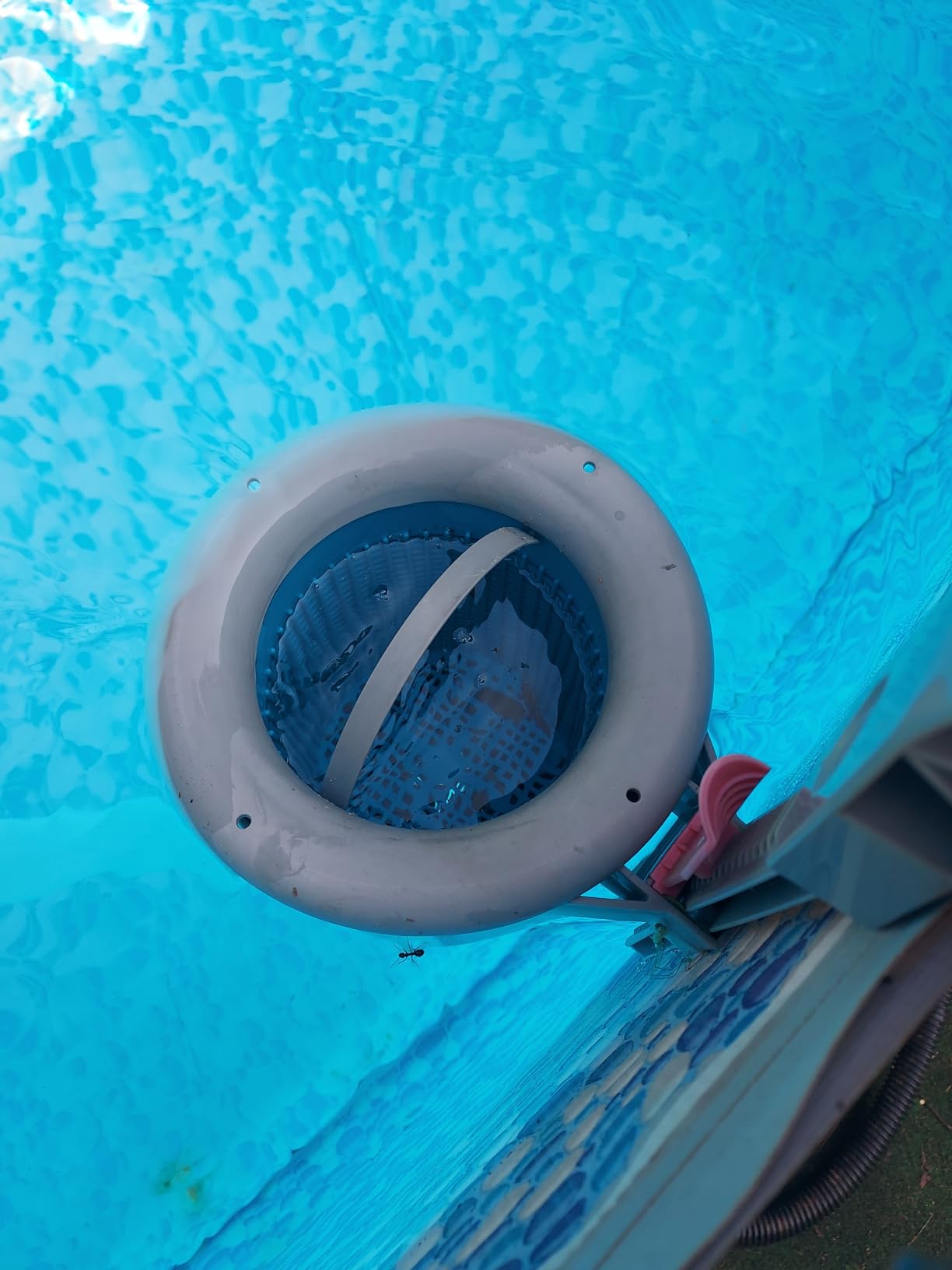 Doheny's 1.5 HP Above Ground Swimming Pool Pump customer photo 2
