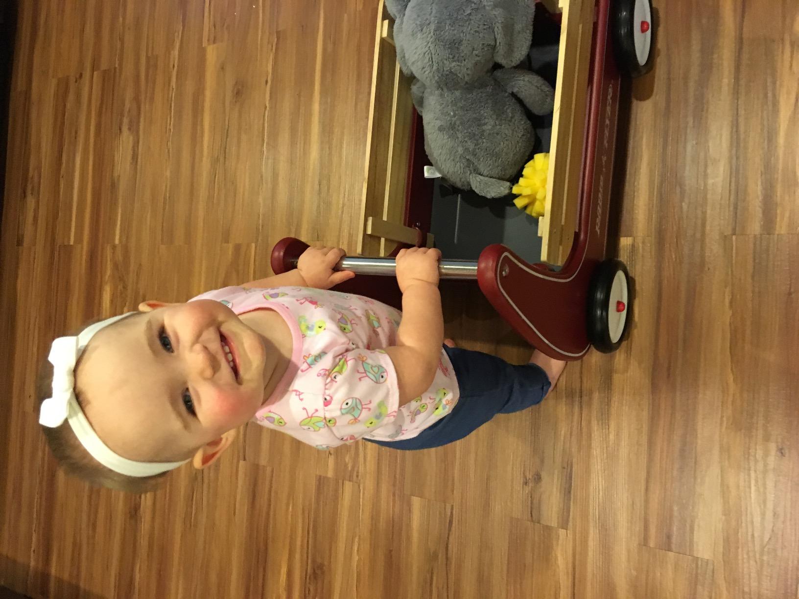 Radio Flyer Classic Walker Wagon, for Kids 1-4 Years Old, Red customer photo 1