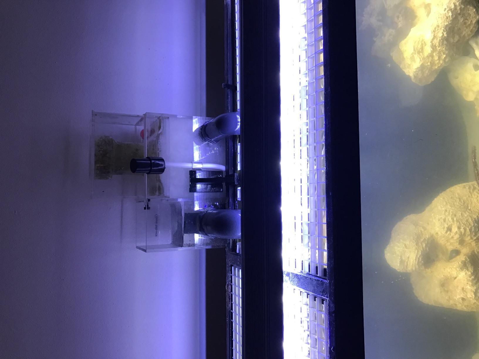 OCTO Classic BH-2000 Protein Skimmer customer photo 1