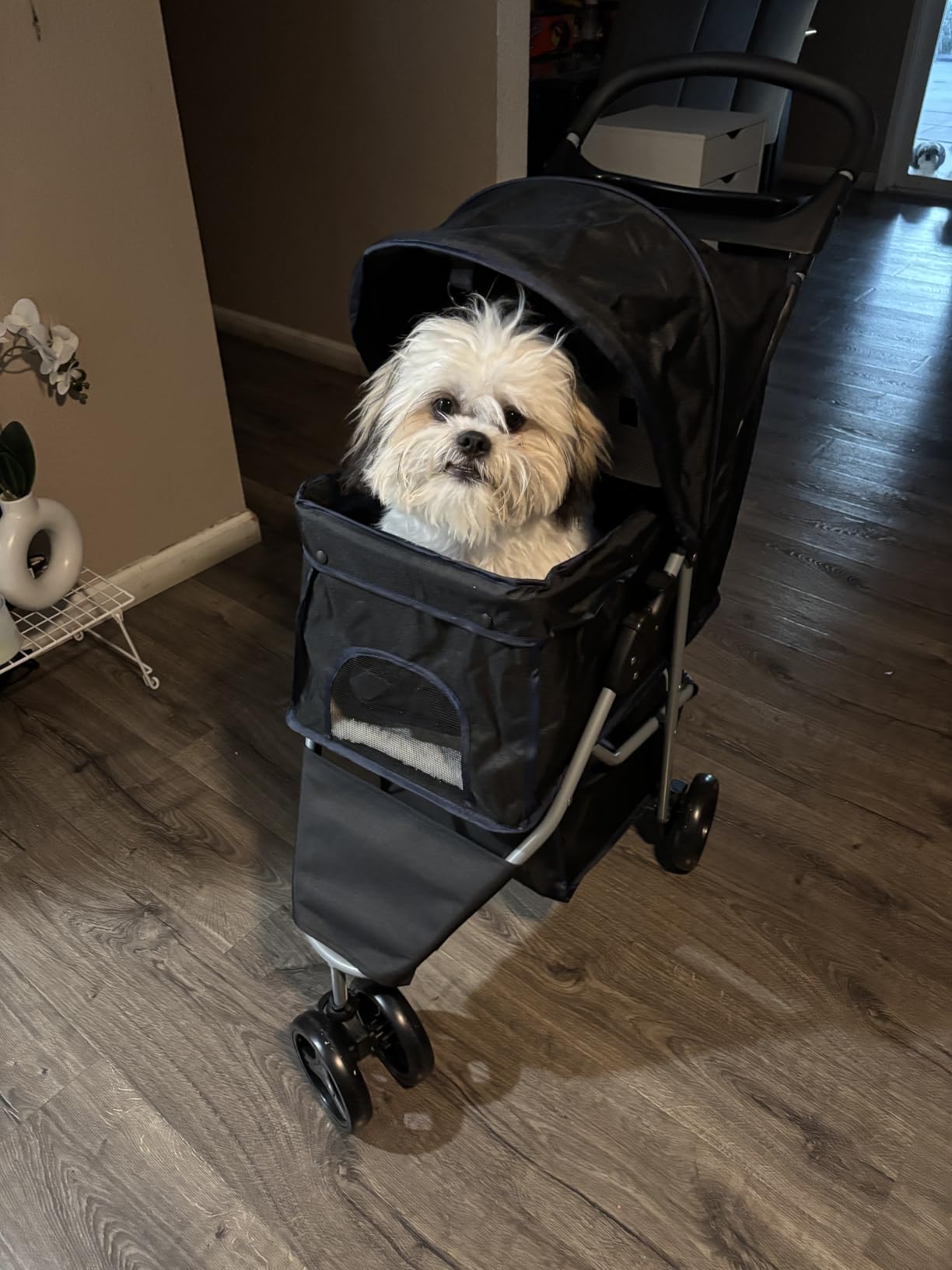 BestPet | 3-Wheel Pet Stroller | Dog and Cat Stroller | Breathable Mesh | Lightweight Travel Carrier | Waterproof & Foldable Design | Storage Basket | Black | for Daily Walks & Outdoor Use customer photo 1