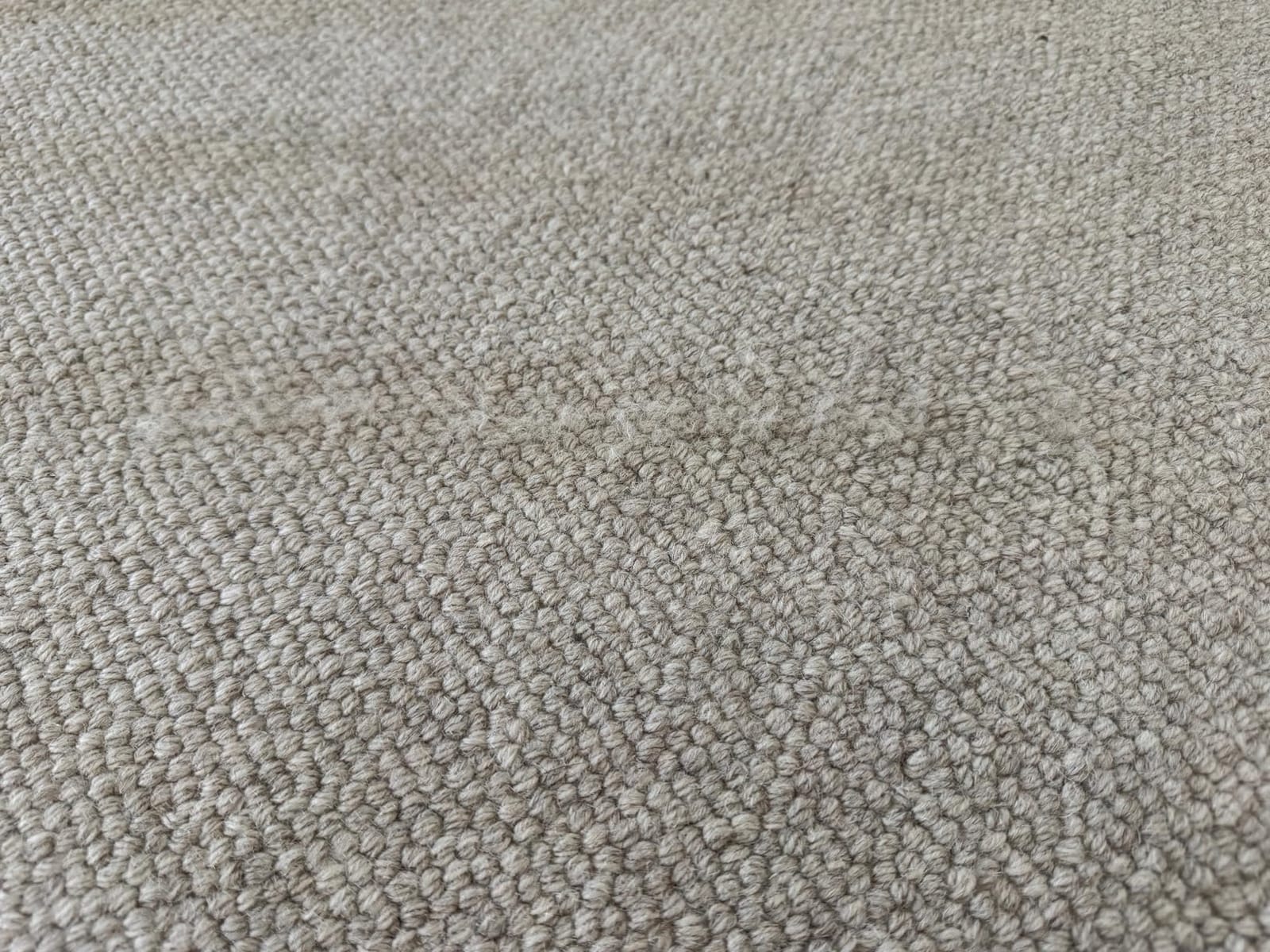 Soniclean Soft Carpet Upright Vacuum Cleaner customer photo 1