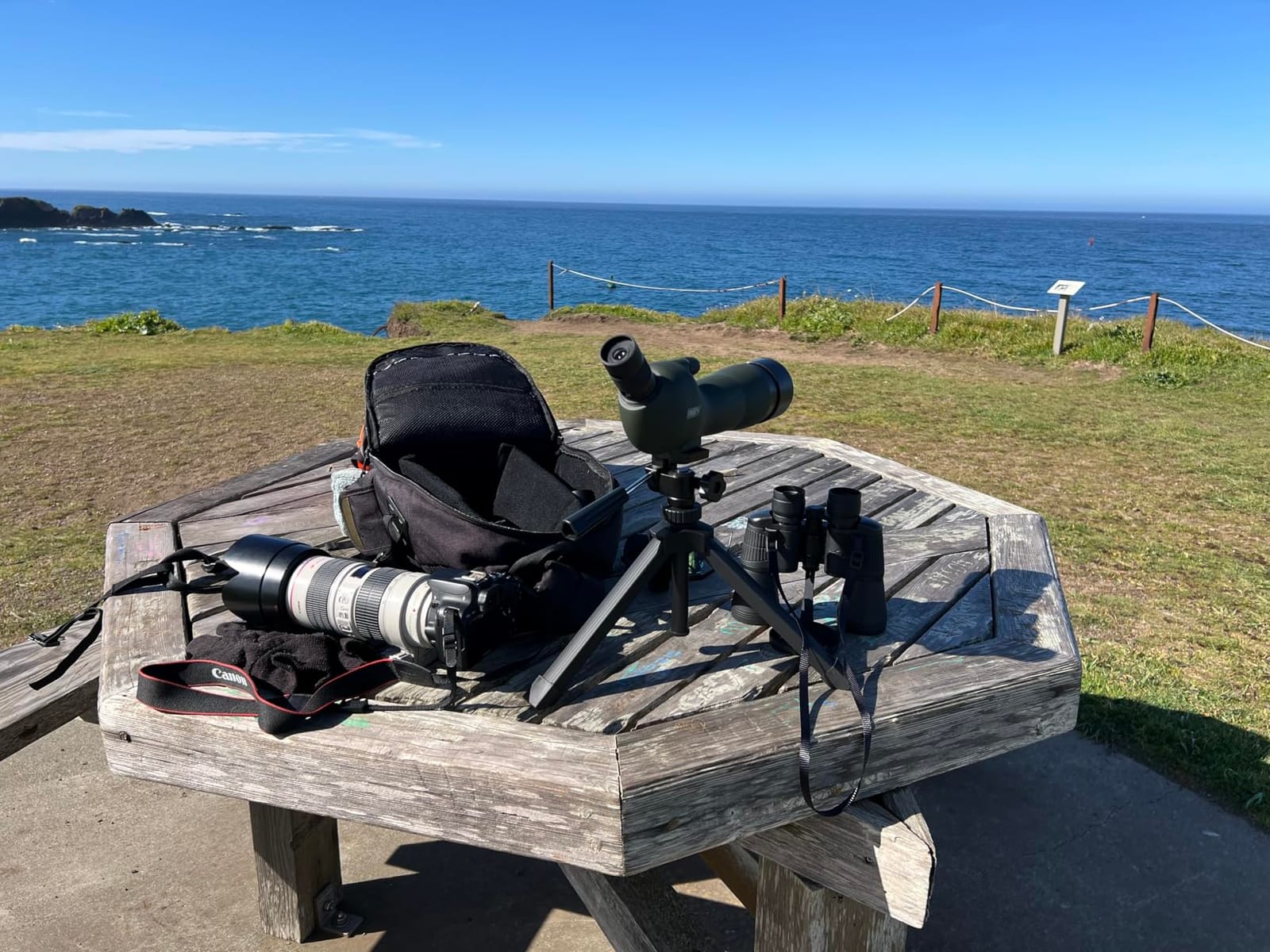20-60x60 Angled Spotting Scopes for Target Shooting/Hunting/Birding customer photo 1