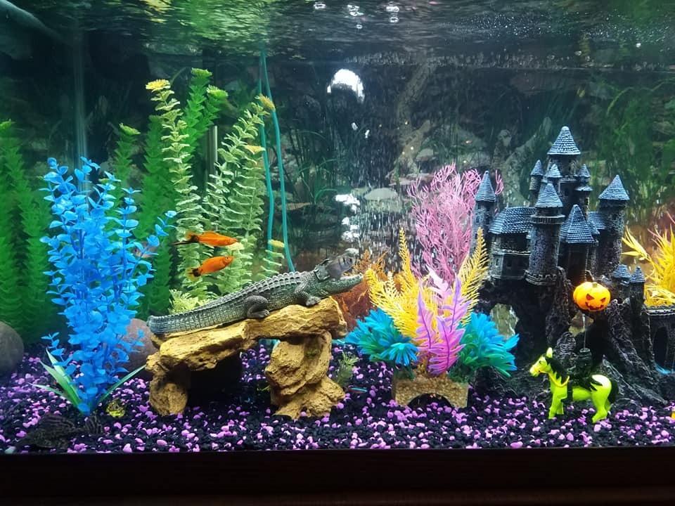 Marineland Magniflow 400 GPH Canister Aquarium Filter customer photo 2