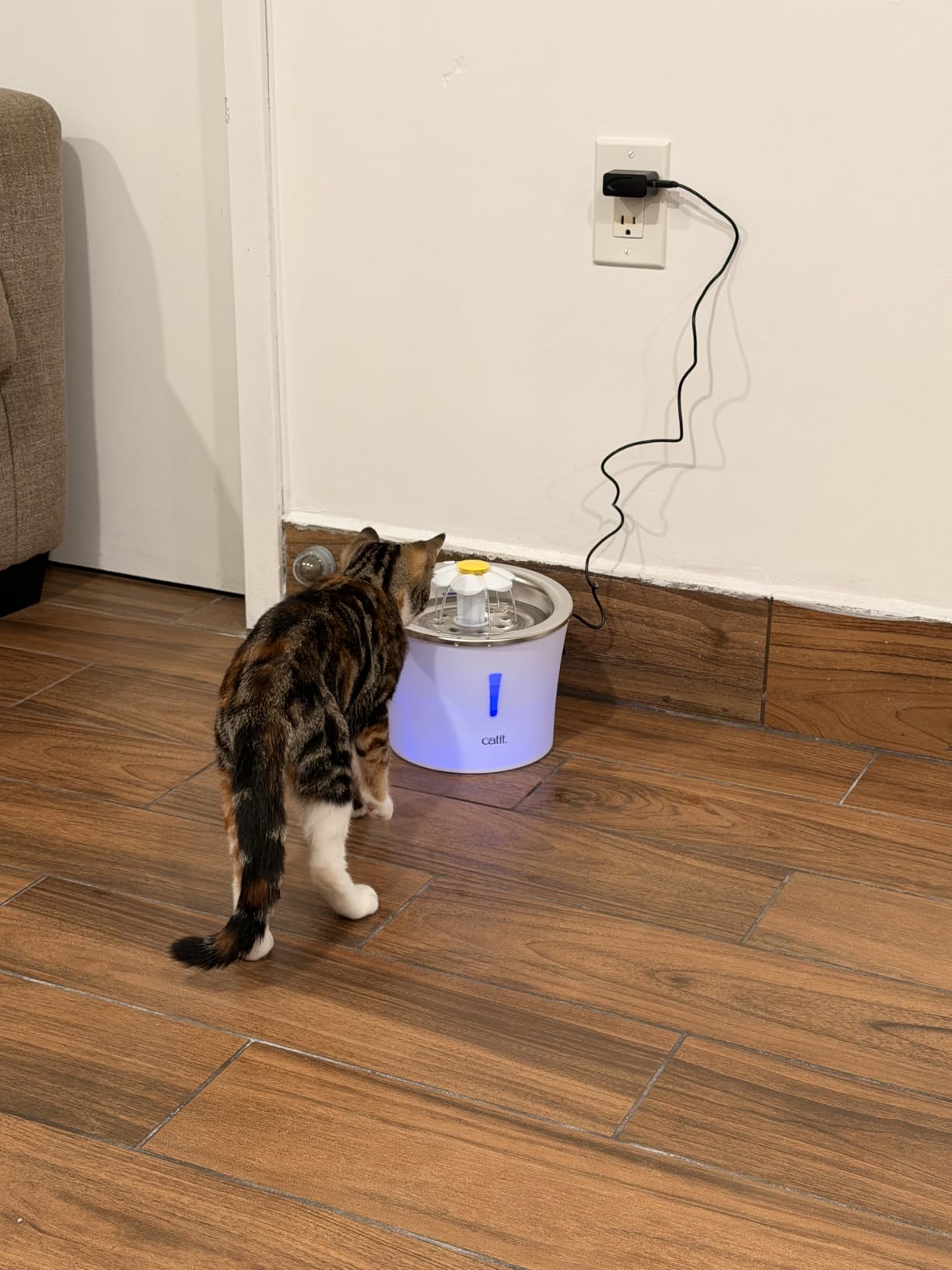Catit Flower Fountain with Triple Action Filter, 3 L, Green | Cat Drinking Water Fountain customer photo 2