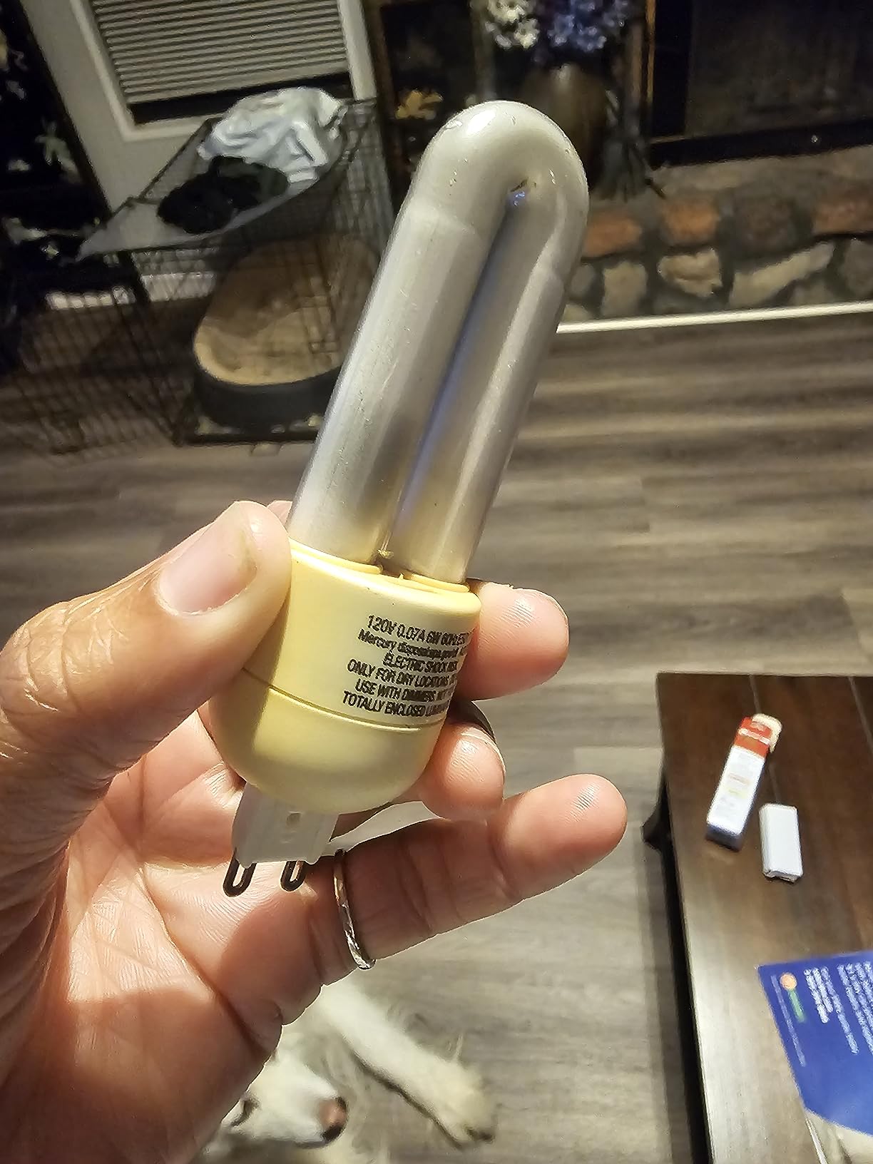 Zilla Mini Compact Fluorescent UVB Bulb, Desert, One Size customer photo 2