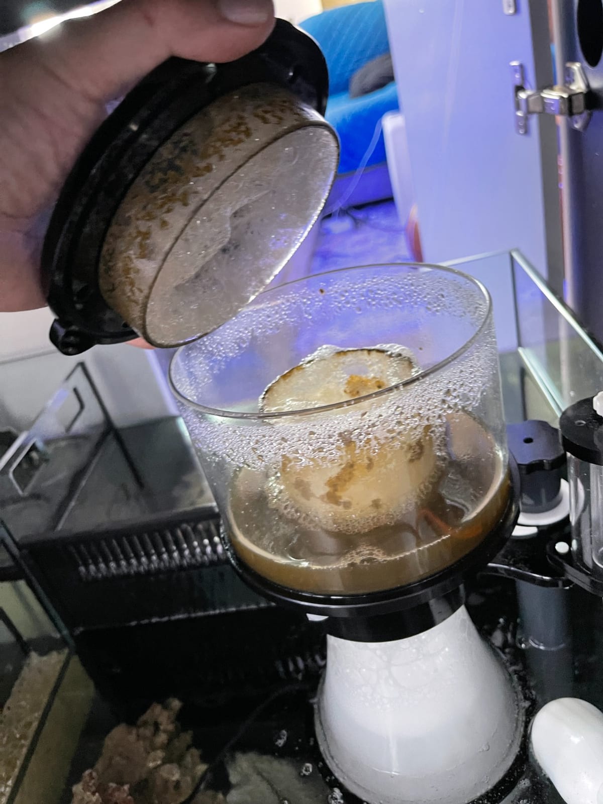Simplicity 240DC Protein Skimmer for Saltwater Aquariums customer photo 2