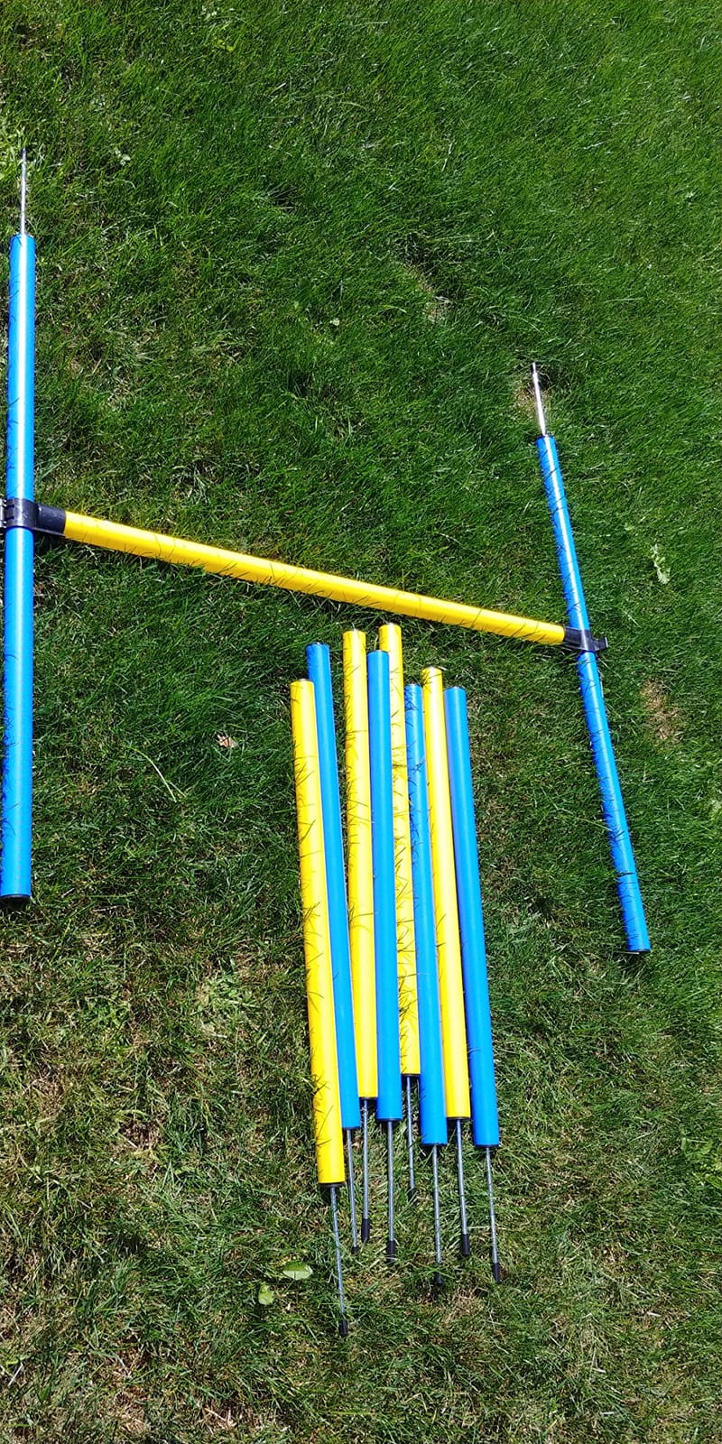 PawHut 4PC Obstacle Dog Agility Training Course Kit Backyard Competitive Equipment- Blue/Yellow customer photo 1