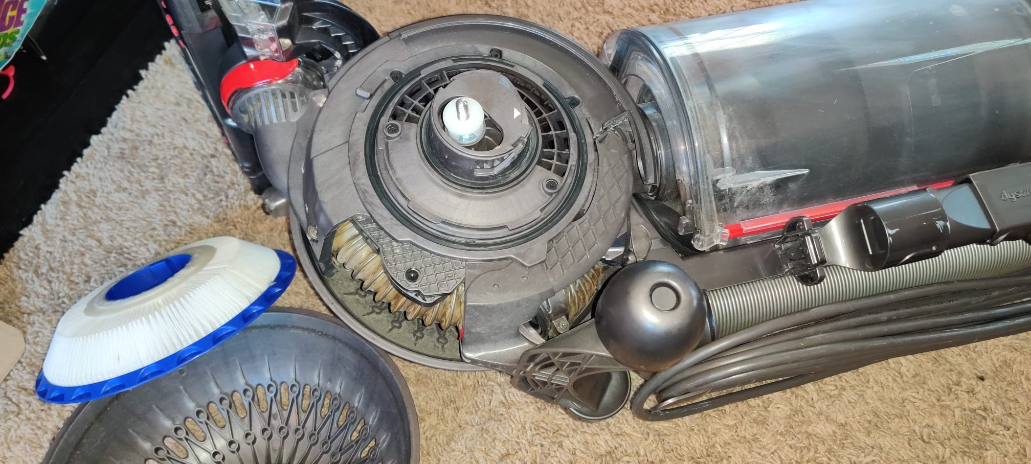 Dyson Ball Animal Upright Vacuum - Corded customer photo 1