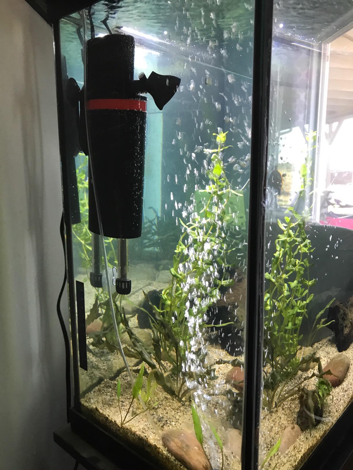 Marineland Magnum 290 GPH Polishing Canister Aquarium Filter customer photo 1