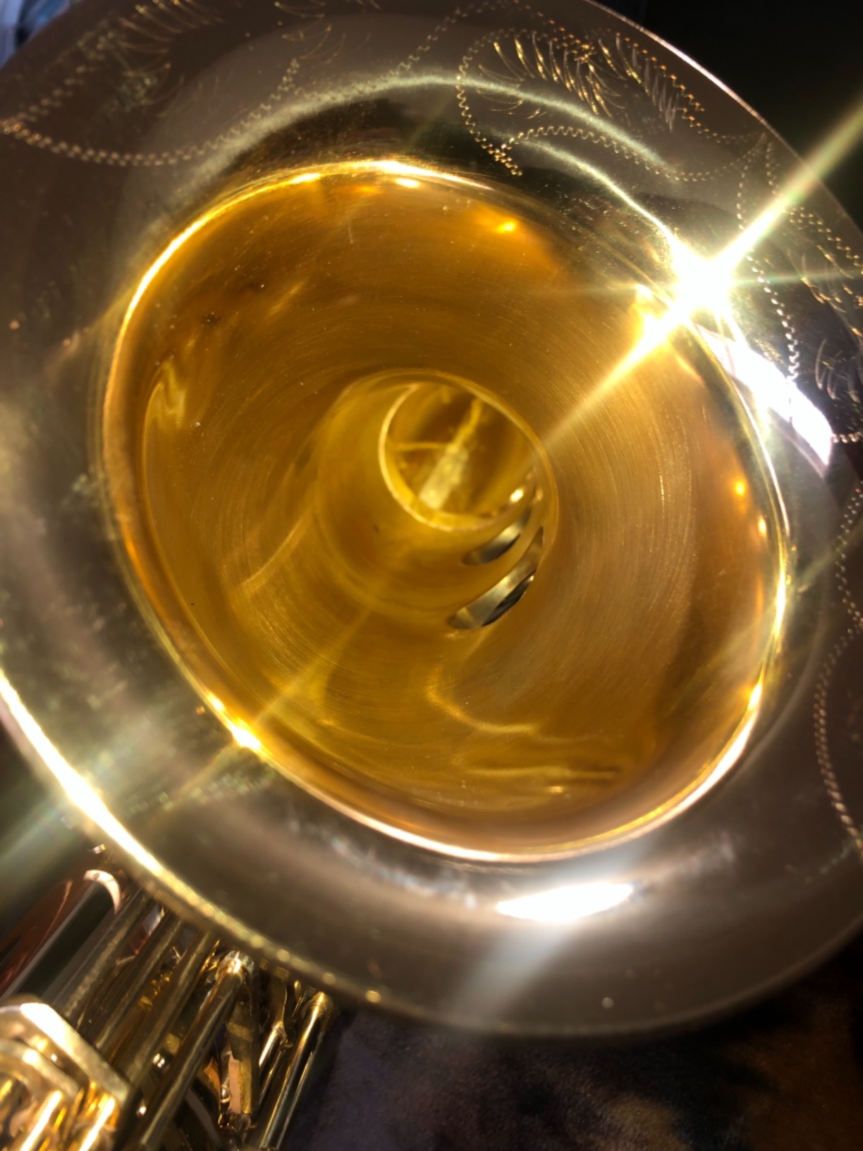 Jean Paul Student Tenor Saxophone TS-400 - Golden Brass Lacquered customer photo 2