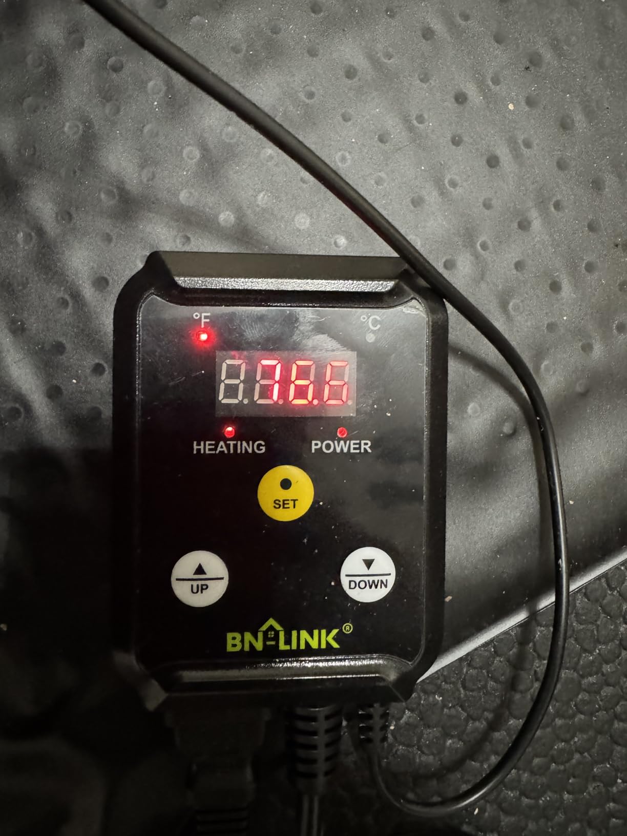 BN-LINK Reptile Thermostat Temperature Controller, Digital Heat Mat Thermostat for Seed Starting, Plant Germination, Greenhouse, Incubator, Brooder, Brewing, Reptiles Tank,40-108°F, 1000W, ETL Listed customer photo 1