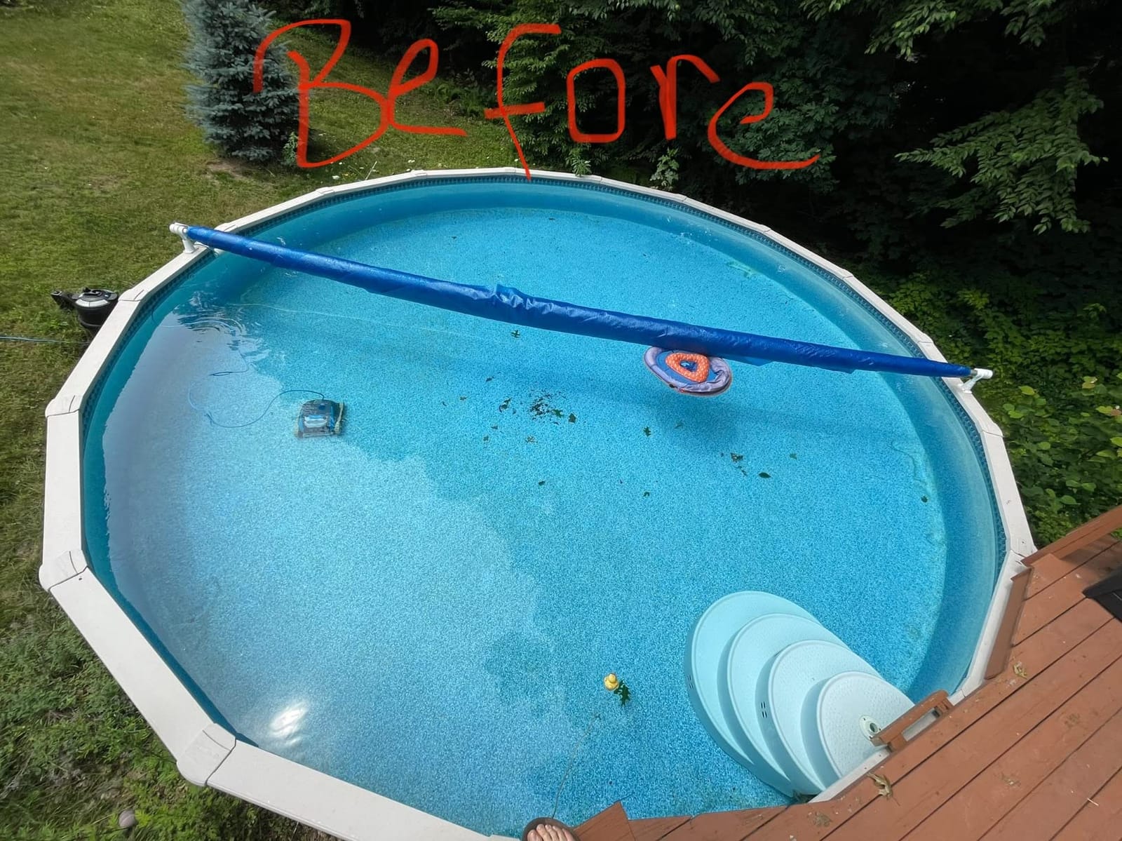 Dolphin Escape Robotic Pool Cleaner (2026 Model) — Massive Top-Loading Filter, Dual Motors, HyperBrush, HyperGrip Tracks, Smart Navigation — for Above Ground & In-Ground Pools up to 33ft customer photo 1