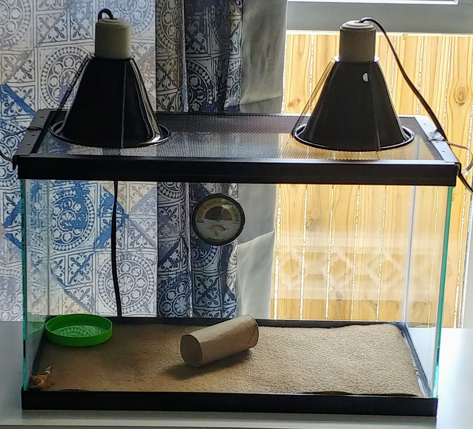 Zilla 10 Gallon Reptile Starter Habitat Kit, Leopard Gecko Tank customer photo 1