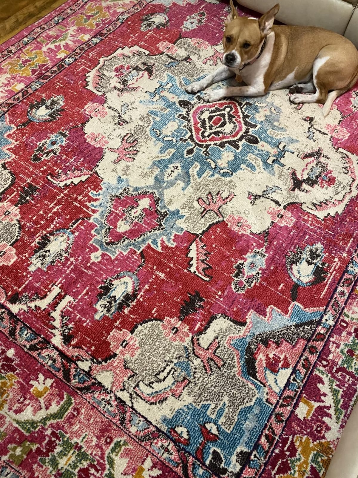 SAFAVIEH Monaco Area Rug 8x10, Large Navy & Light Blue MNC243N customer photo 2