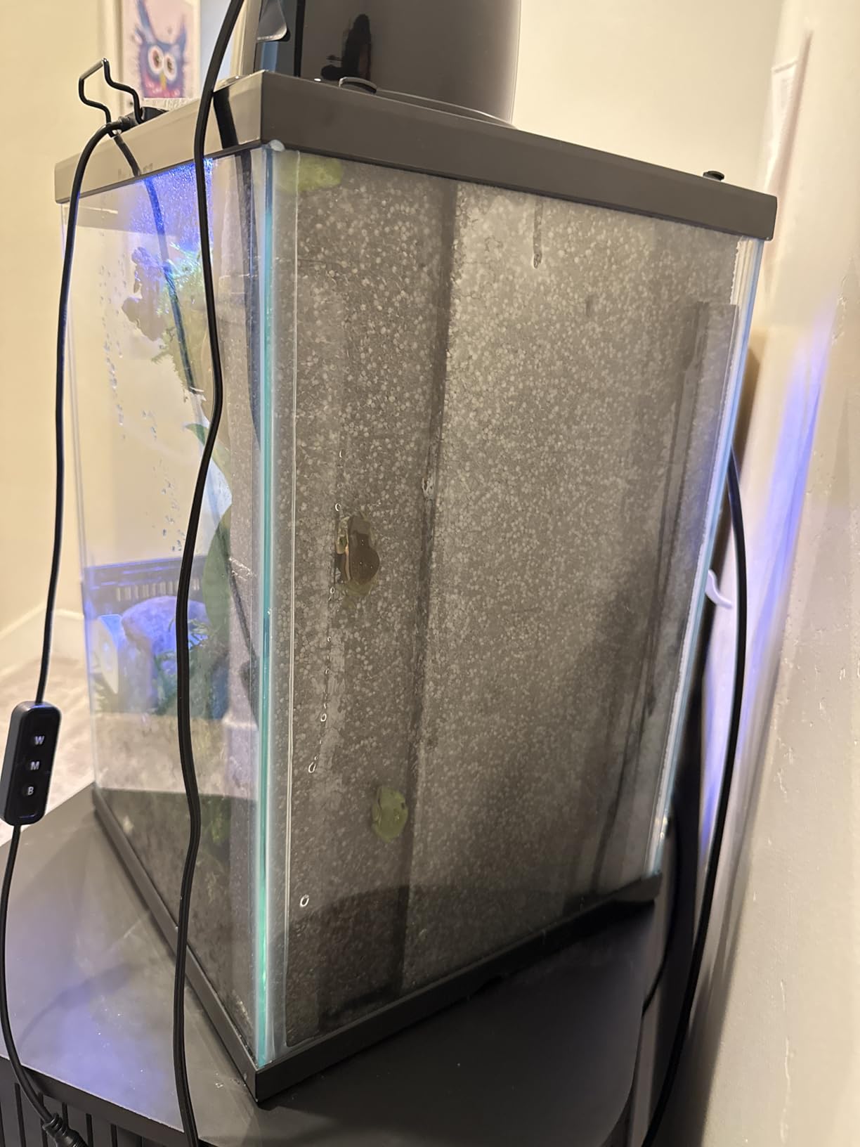Zilla 11 Gallon Glass Tropical Vertical Terrarium Kit customer photo 1
