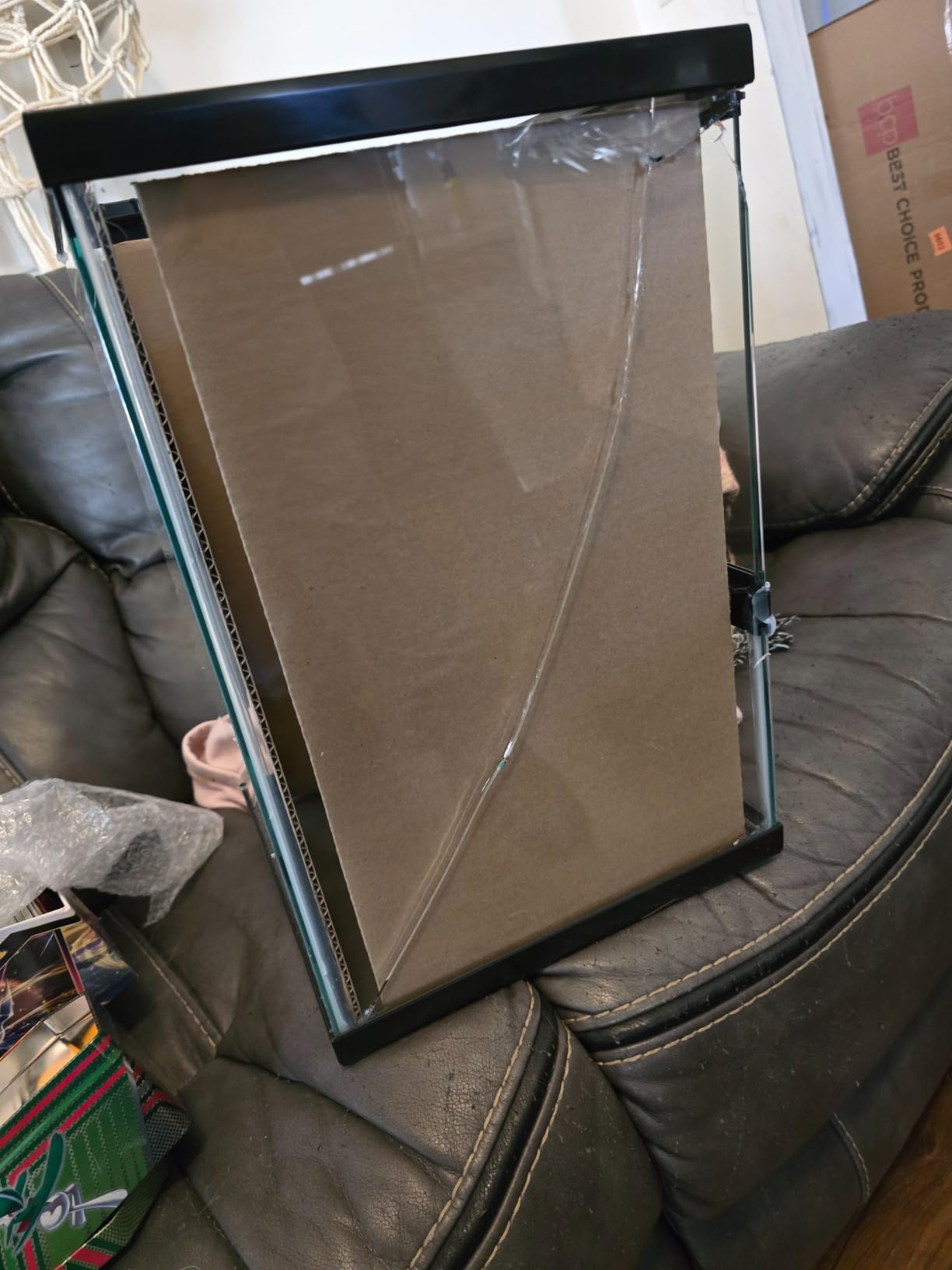 Zilla 11 Gallon Glass Tropical Vertical Terrarium Kit customer photo 2
