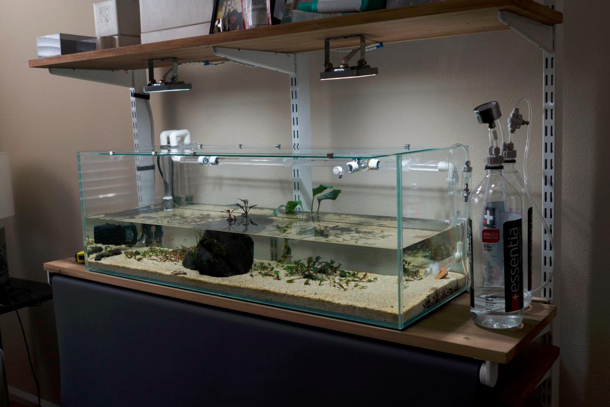 DIY CO2 Generator System Aquarium Plant Kit with Gauge Valve customer photo 2