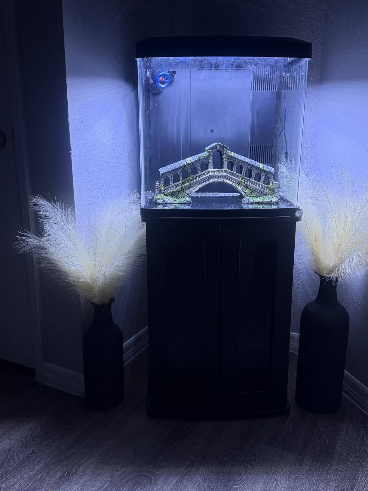 Coralife BioCube, Aquarium Kit, Integrated 24-hour Timer, Customizable LED Lighting, for Saltwater and Freshwater Environments, 32 Gallon customer photo 1
