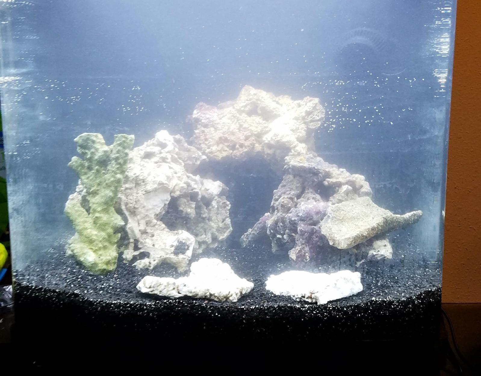 Coralife BioCube, Aquarium Kit, Integrated 24-hour Timer, Customizable LED Lighting, for Saltwater and Freshwater Environments, 32 Gallon customer photo 2