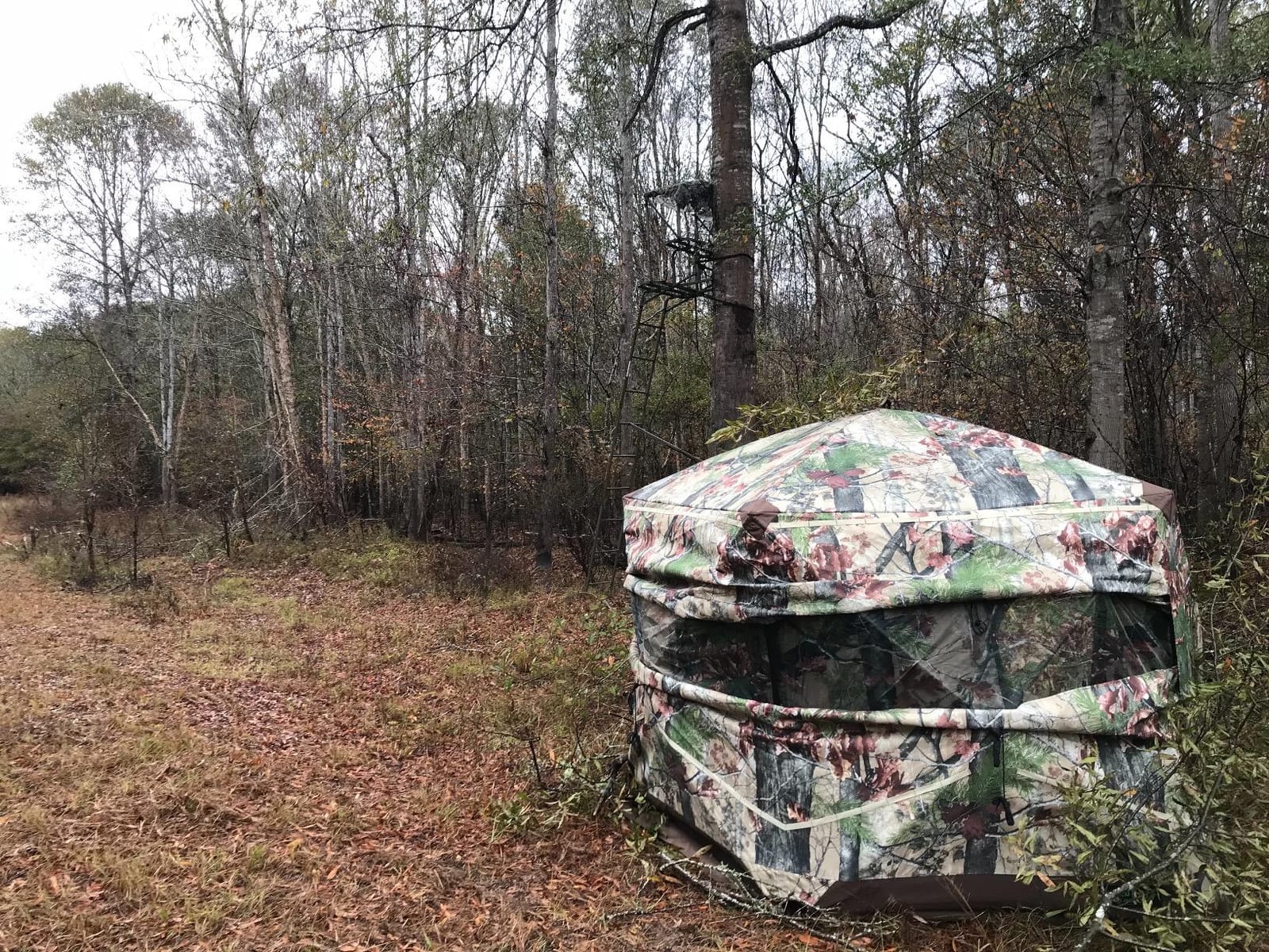 Barronett Blinds Ox Portable Hunting Blind, Pop-Up Hub Blind, Durable Oxhide Fabric, Panoramic Shooting Window, Bloodtrail Backwoods customer photo 1