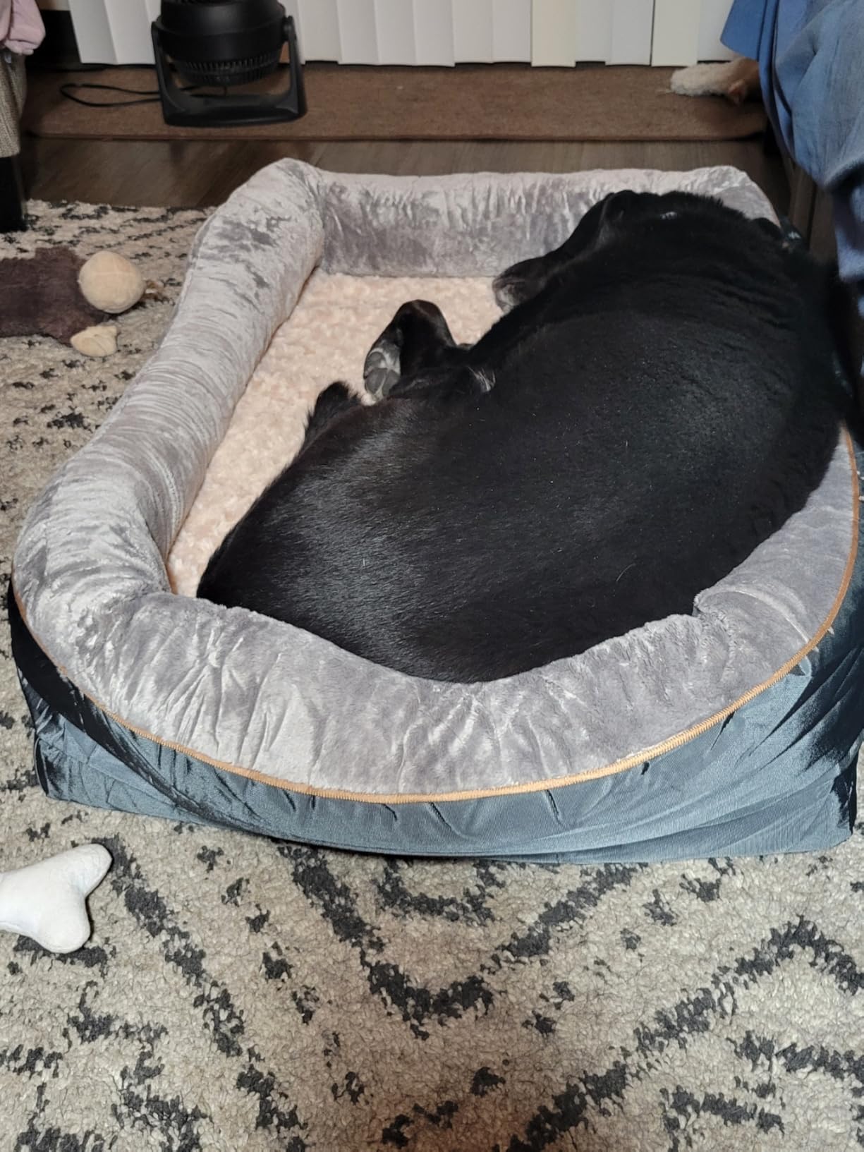 JOYELF Large Memory Foam Dog Bed, Orthopedic Dog Bed & Sofa with Removable Washable Cover and Squeaker Toy as Gift customer photo 1