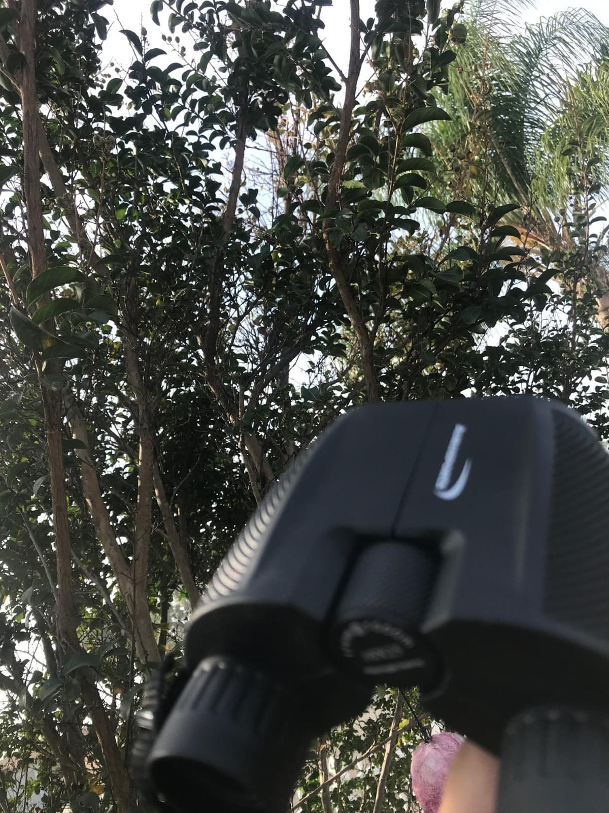 Aurosports 10x25 Compact Binoculars for Bird Watching, Cruise Ship, Travel customer photo 2