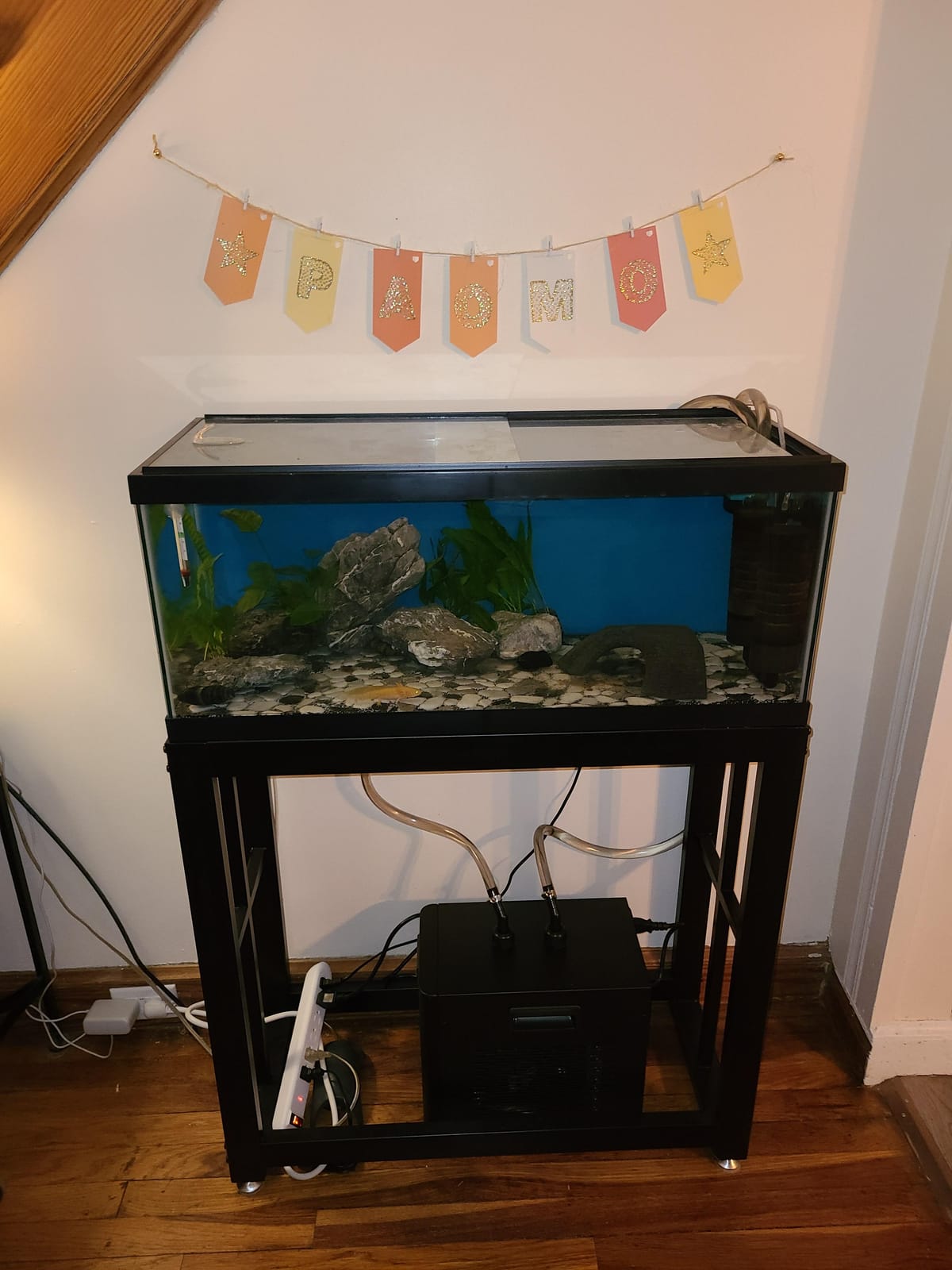 BAOSHISHAN 1/10 HP Aquarium Chiller 42 Gal Fish Tank Water Chiller 110V customer photo 2