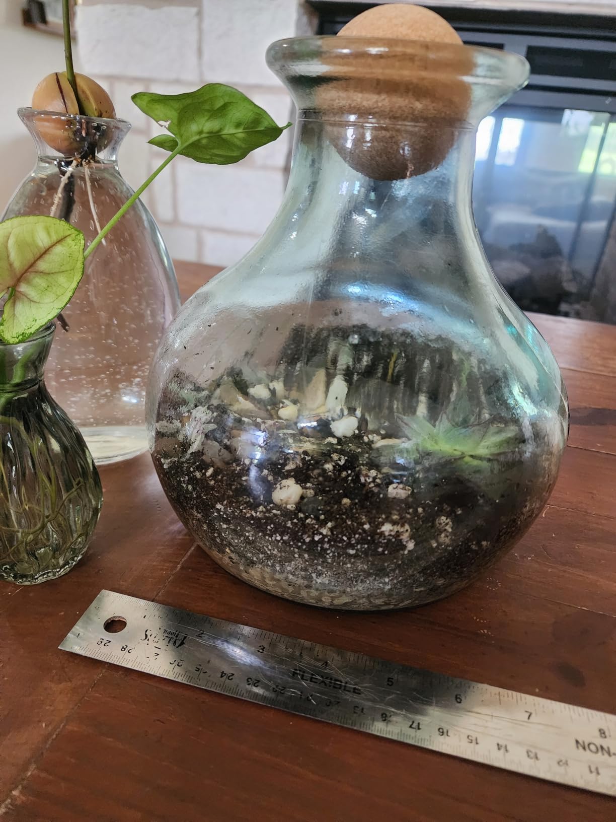 Succulent Planter Kit - Terrarium Kit with Succulent Soil, Gravel, Pebble, Moss, customer photo 2