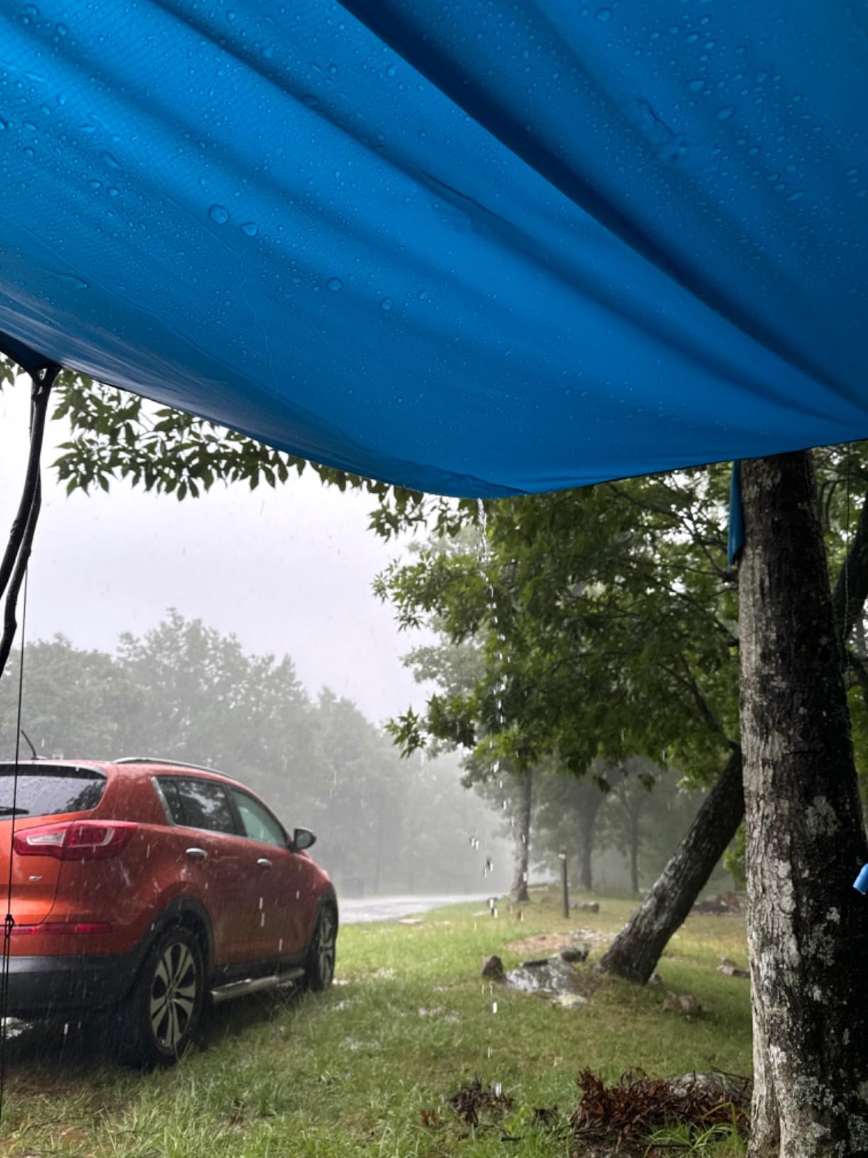 Wise Owl Outfitters Hammock Rain Fly – Waterproof Camping Tarp Cover with Tent Stakes & Carry Bag, Ultralight Shelter for Backpacking & Outdoor Shade customer photo 2