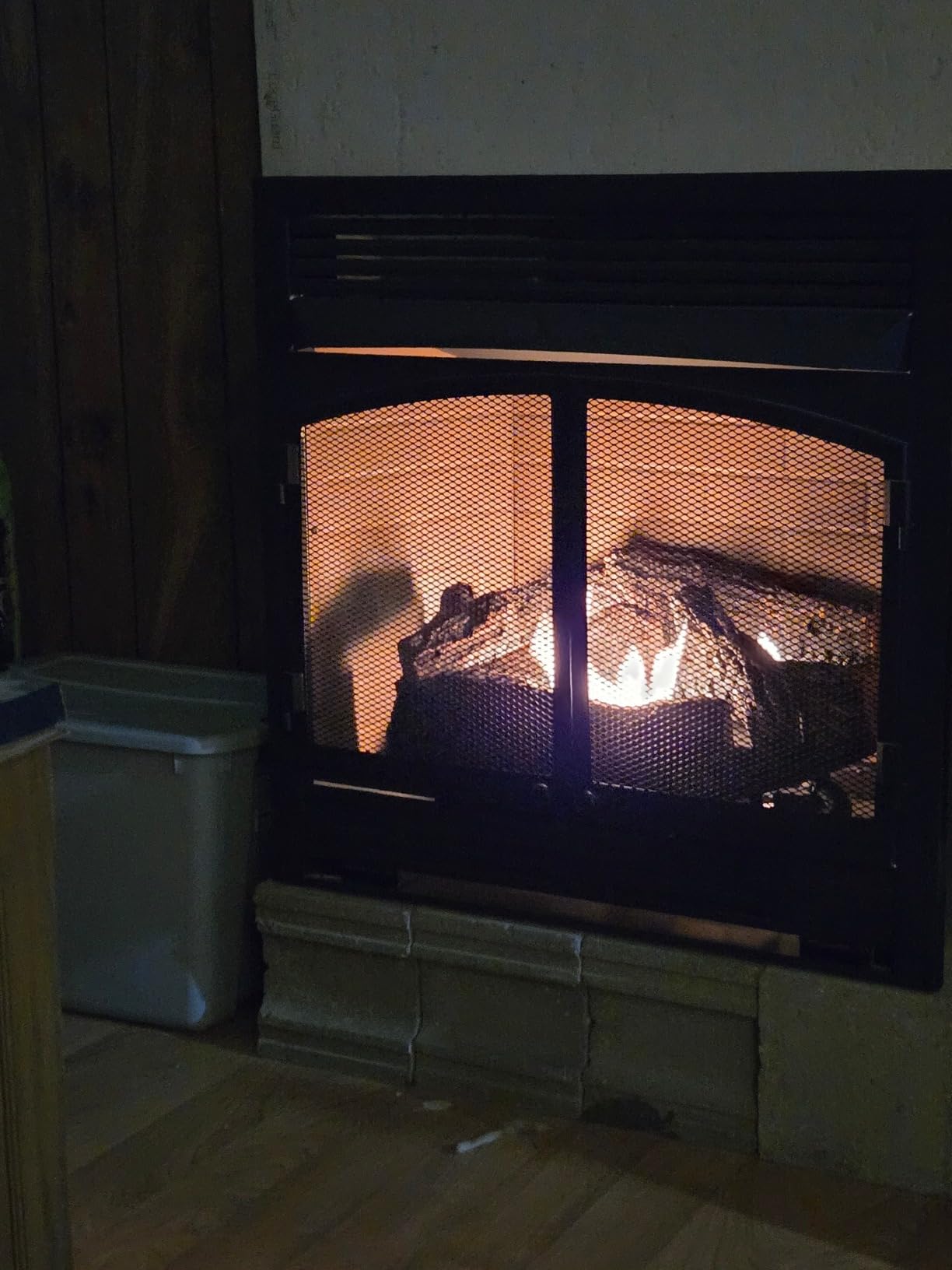 Duluth Forge Dual Fuel Ventless Gas Fireplace Insert - 32,000 BTU, T-Stat Control - Model# FDF400T-ZC customer photo 2