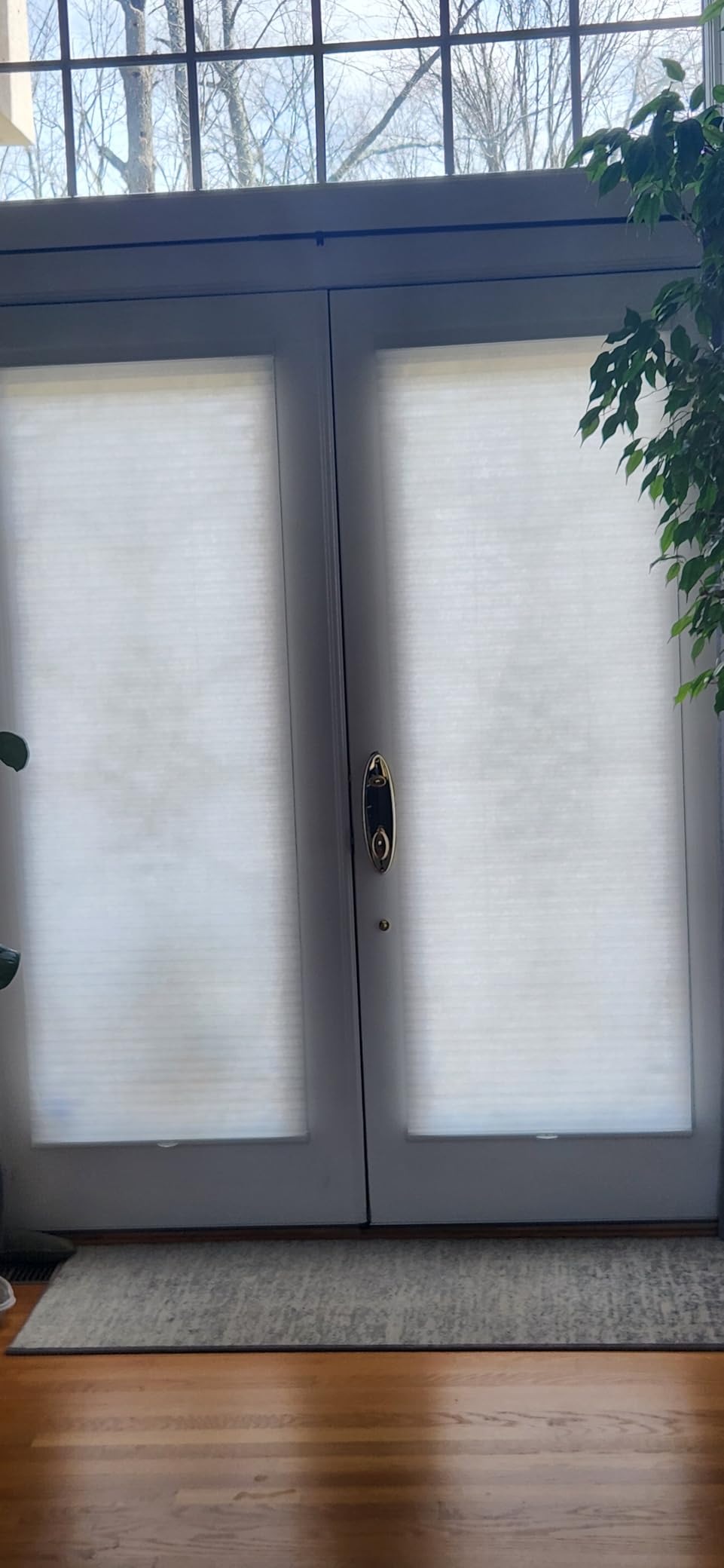 CHICOLOGY Cordless Cellular Shades, Room Darkening, Mist, 30x48 customer photo 1