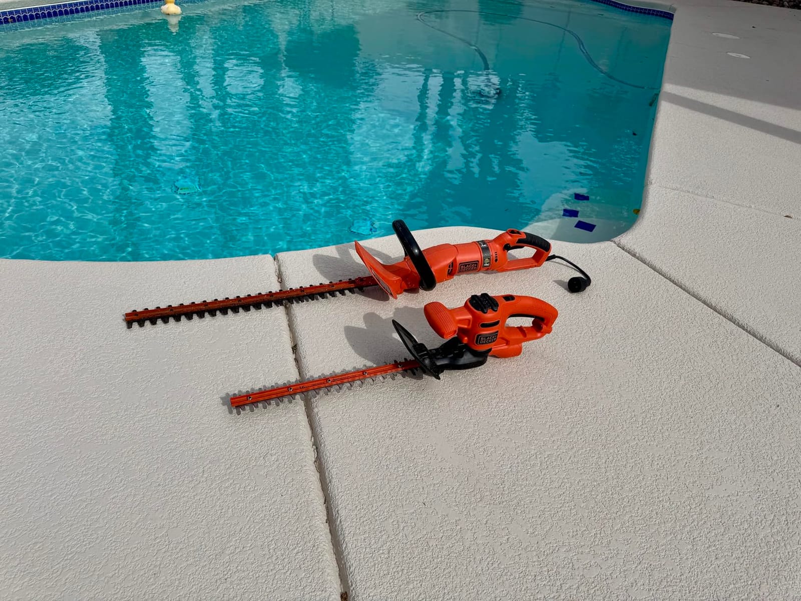 BLACK+DECKER Electric Hedge Trimmer, 16-Inch 3.0 Amp Compact Corded Power Hedge Trimmer (BEHT100) customer photo 1