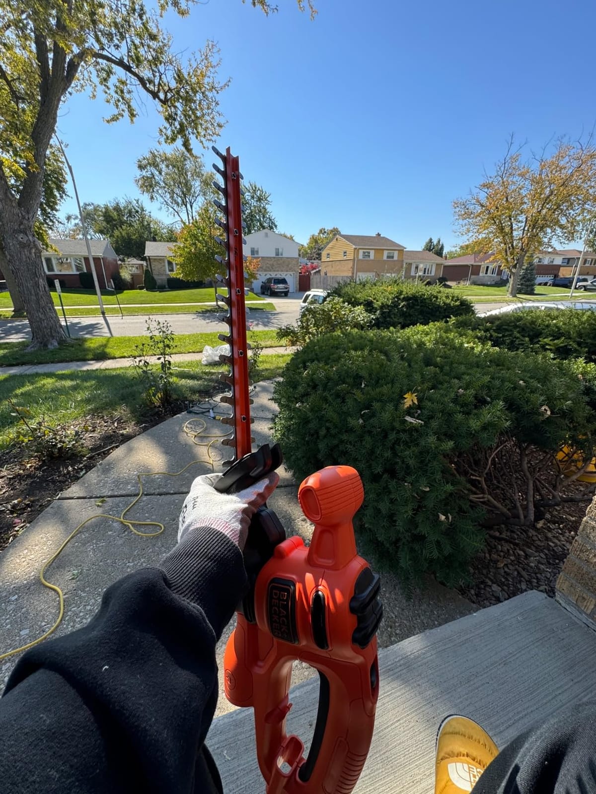 BLACK+DECKER Electric Hedge Trimmer, 16-Inch 3.0 Amp Compact Corded Power Hedge Trimmer (BEHT100) customer photo 2