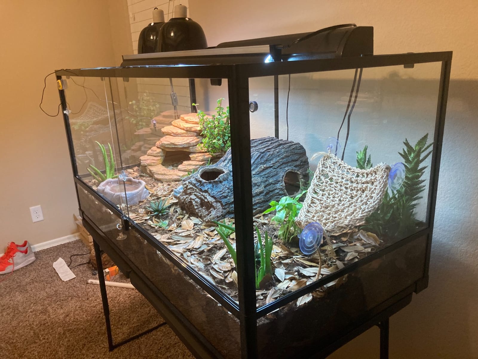 Carolina Custom Cages, 48Lx24Wx18H Extra-Long Deep Terrarium; Easy Assembly customer photo 2