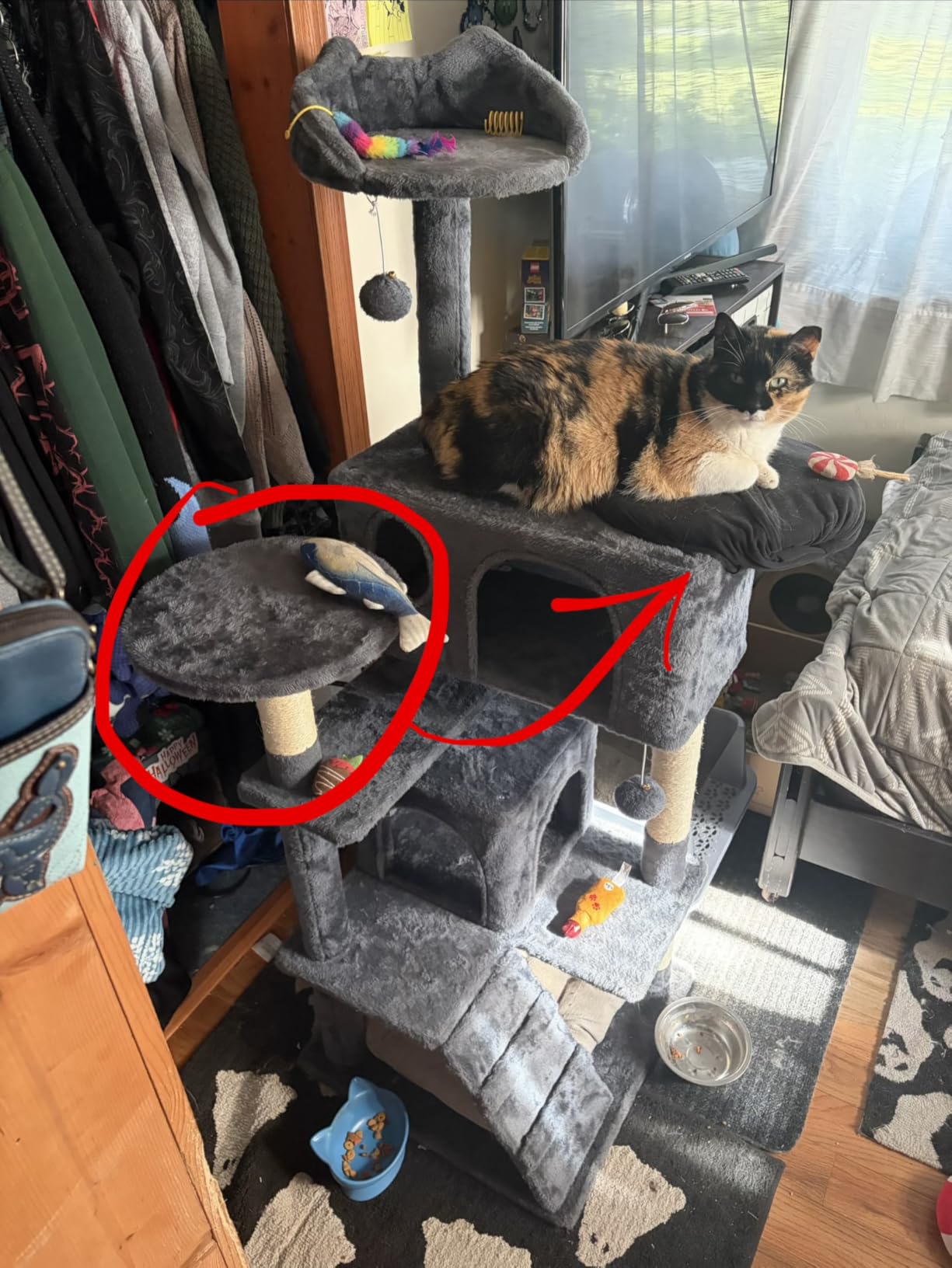 Yaheetech 54in Cat Tree Tower, 2 Caves, Kitten-Ear Perch & Scratching Posts customer photo 1