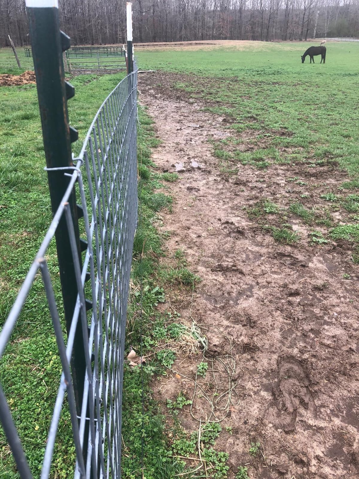 Underground Electric Dog Fence Kit, Pro Grade, 2-Dog, 1000 ft | DIY system: transmitter, waterproof receivers, boundary + twisted wire, flags, splices, staples; covers ~1 acre, Ultimate customer photo 2